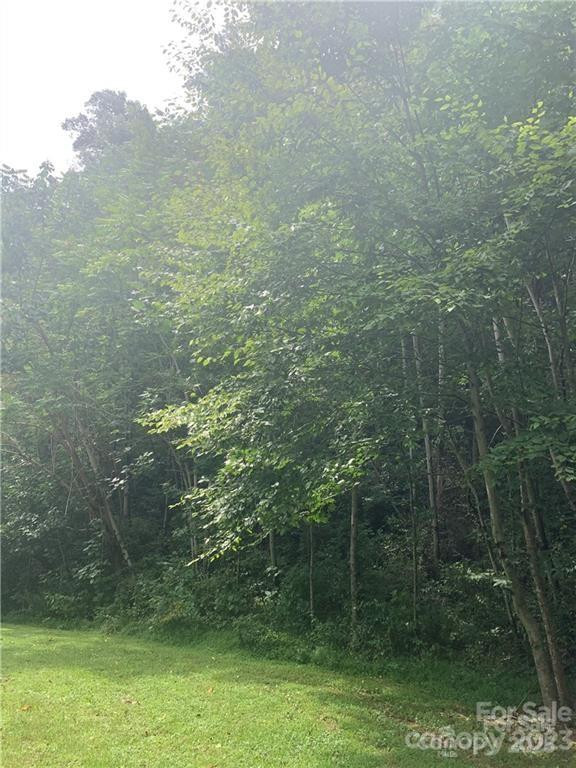 147 Splitrail Drive #5 - Photo 3