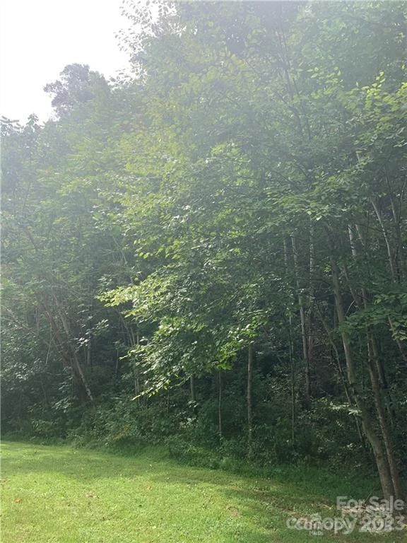 147 Splitrail Drive #5 - Photo 3
