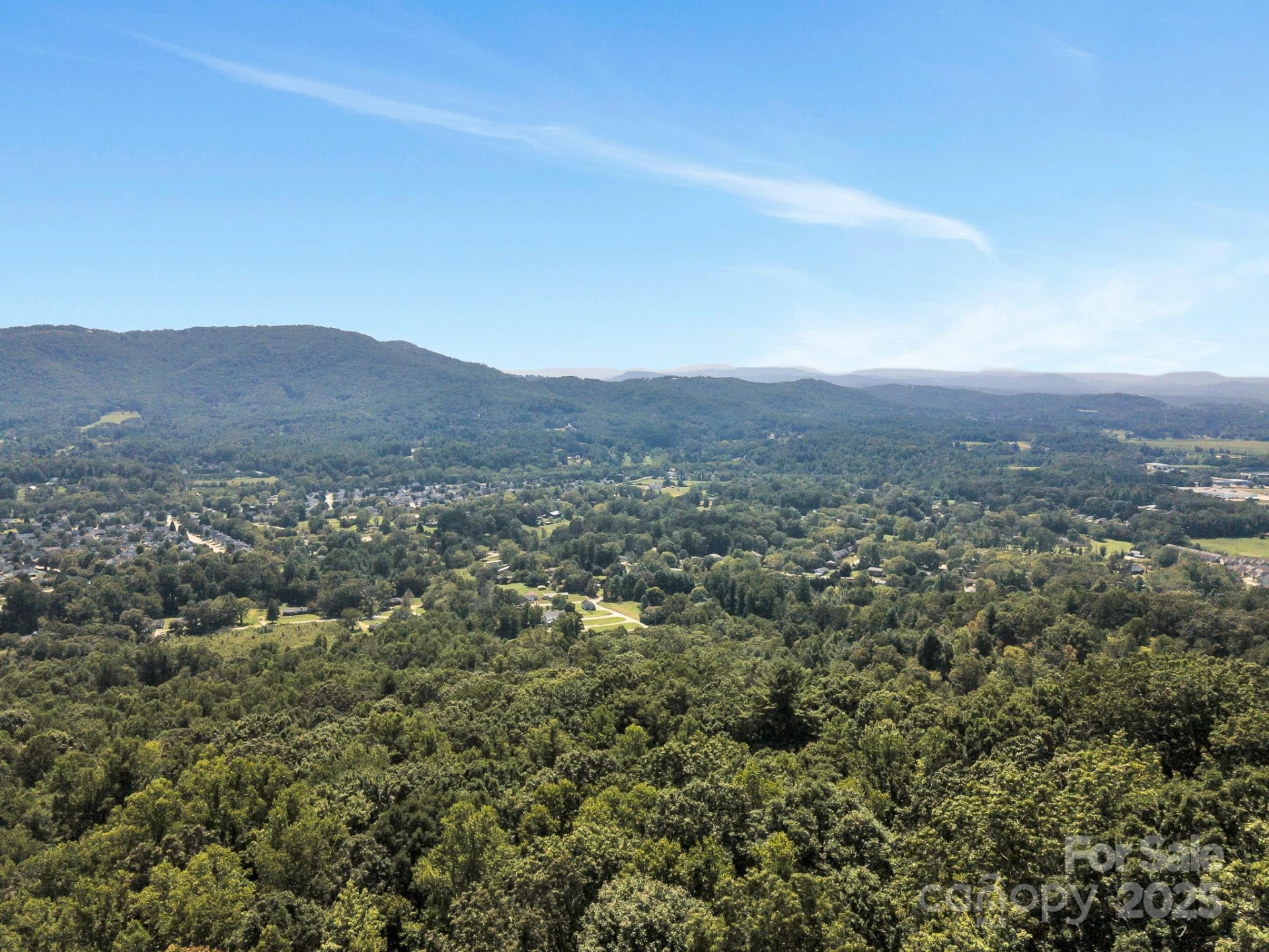 9999 Hoopers Creek Road - Photo 11