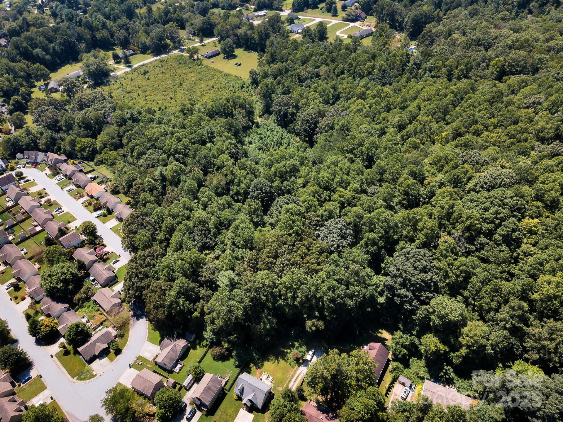 9999 Hoopers Creek Road - Photo 3