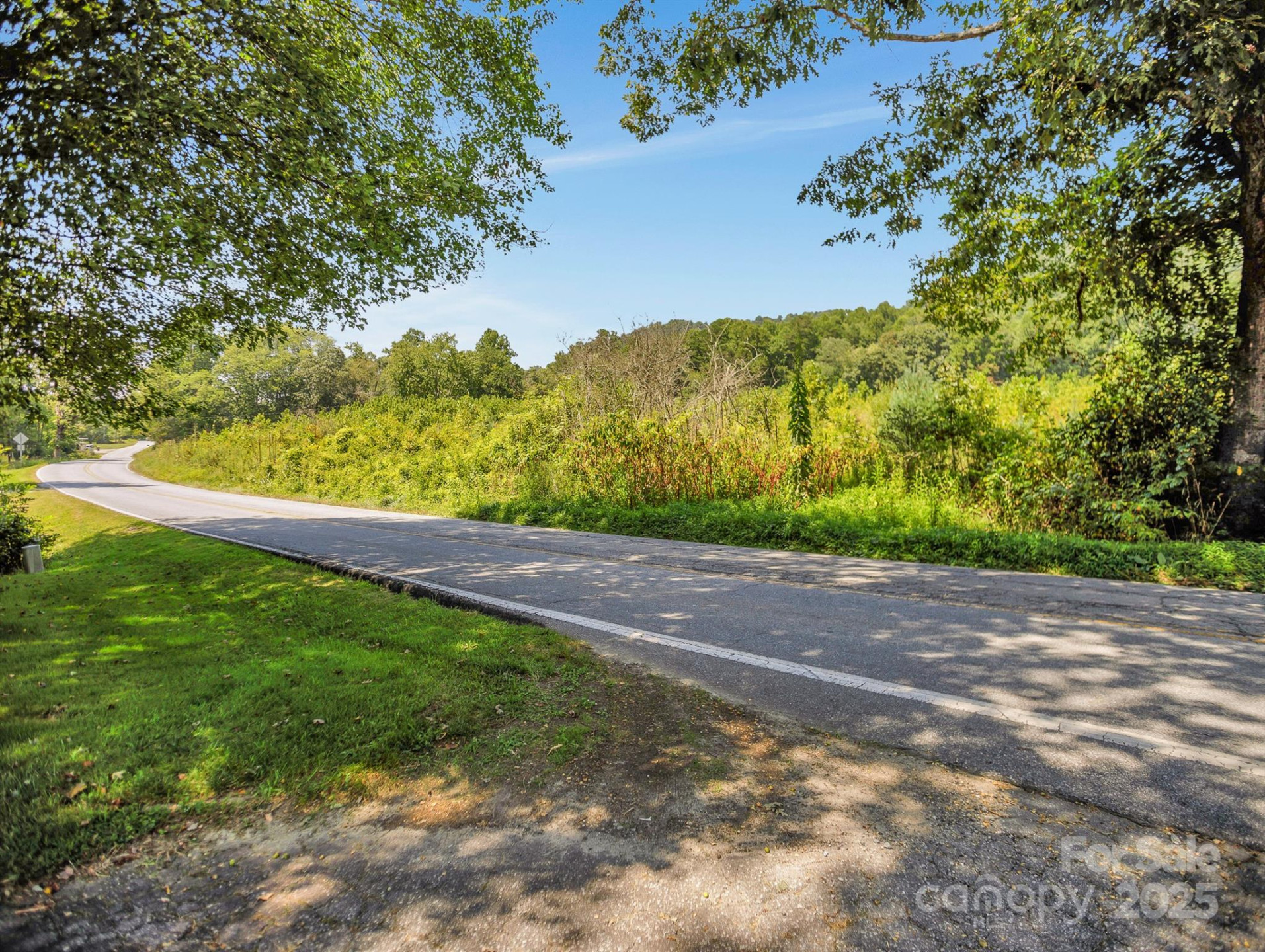 9999 Hoopers Creek Road - Photo 7