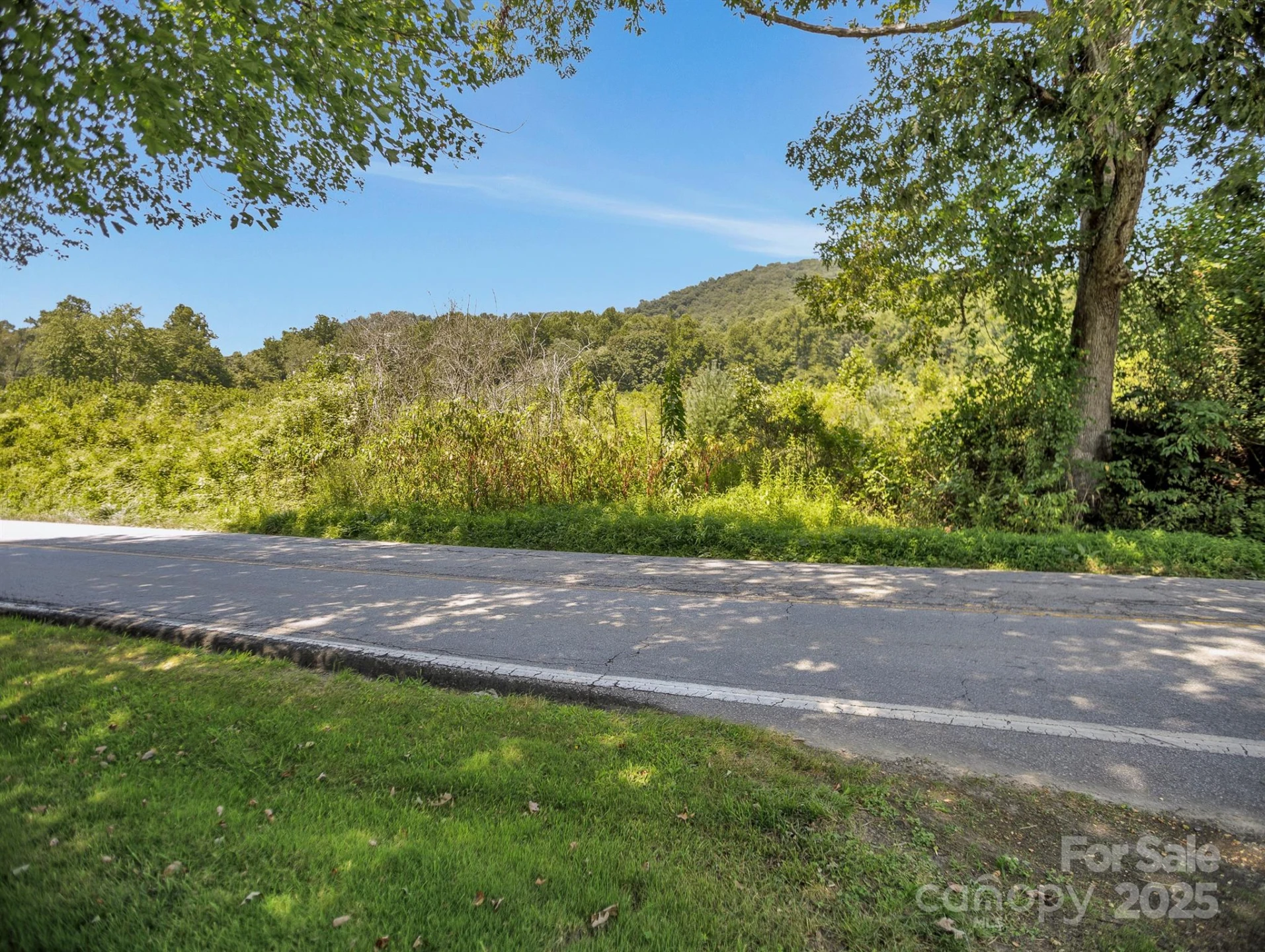 9999 Hoopers Creek Road - Photo 8