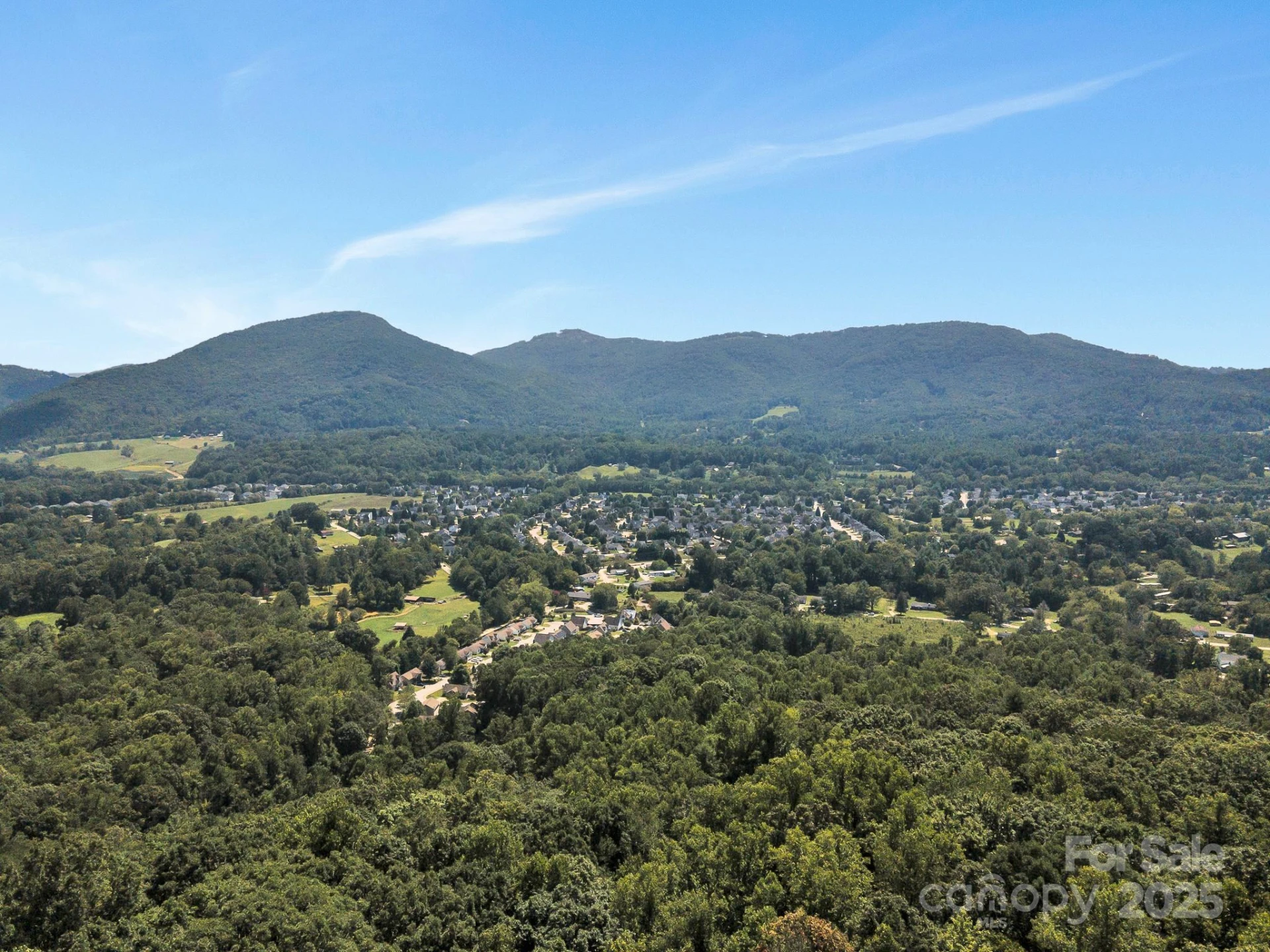 9999 Hoopers Creek Road - Photo 10