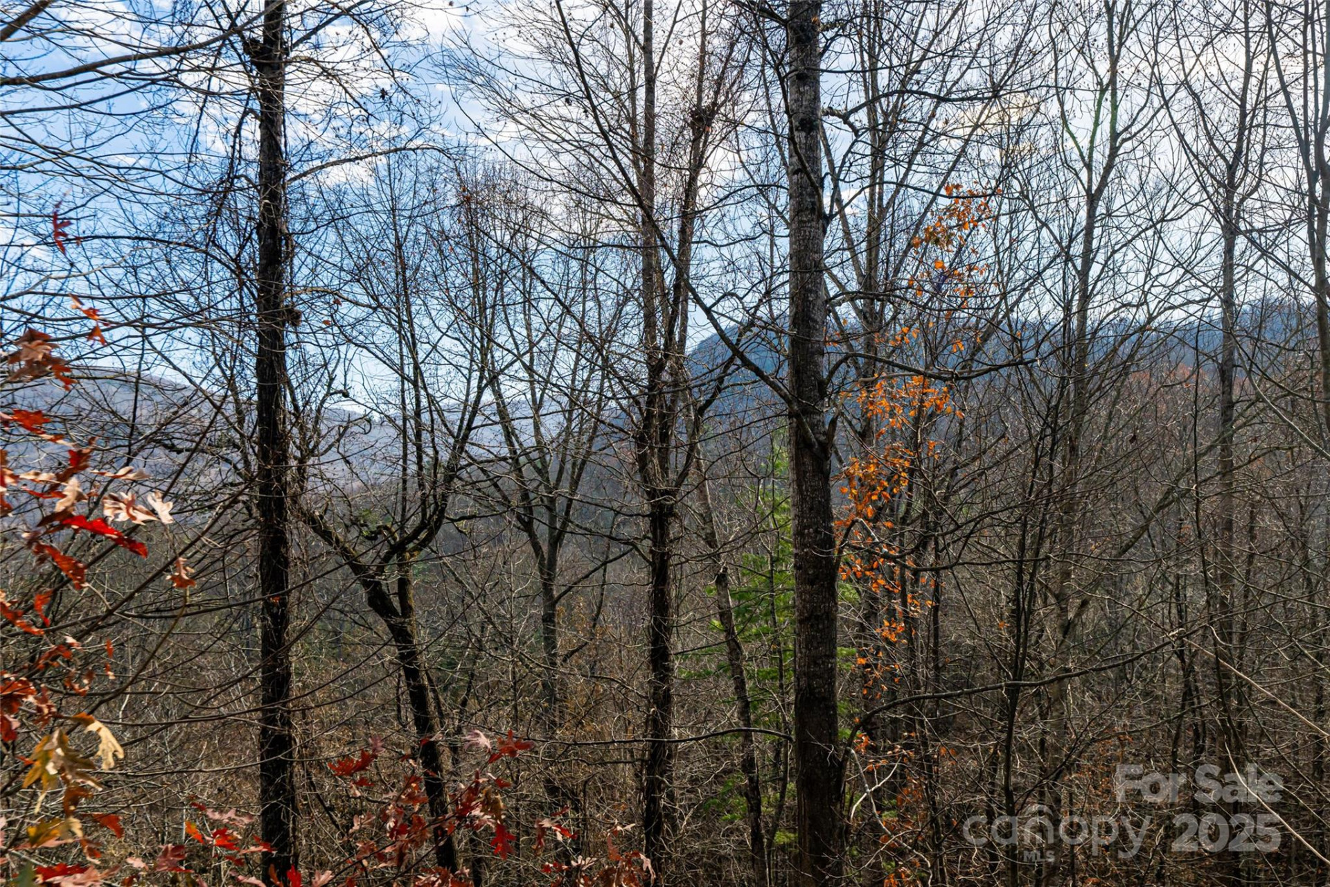 98 Sovereign Lane - Photo 23