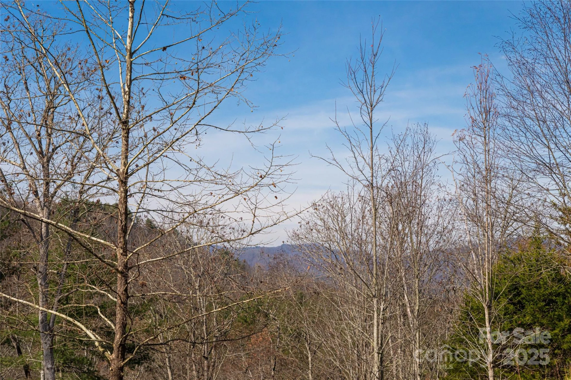 98 Sovereign Lane - Photo 34