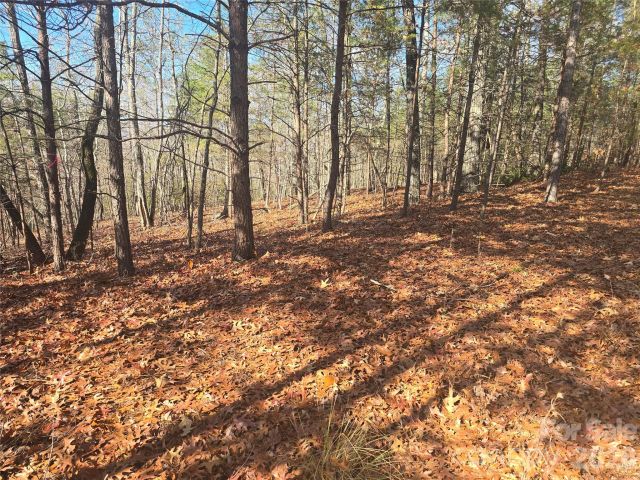 lot 60 Lake Adger Parkway, Mill Spring, NC, 28756