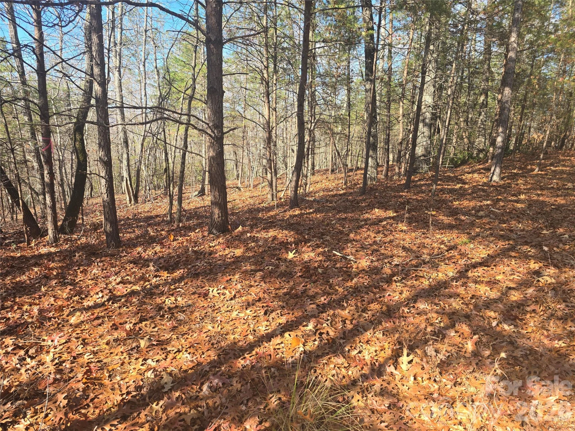 lot 60 Lake Adger Parkway #60