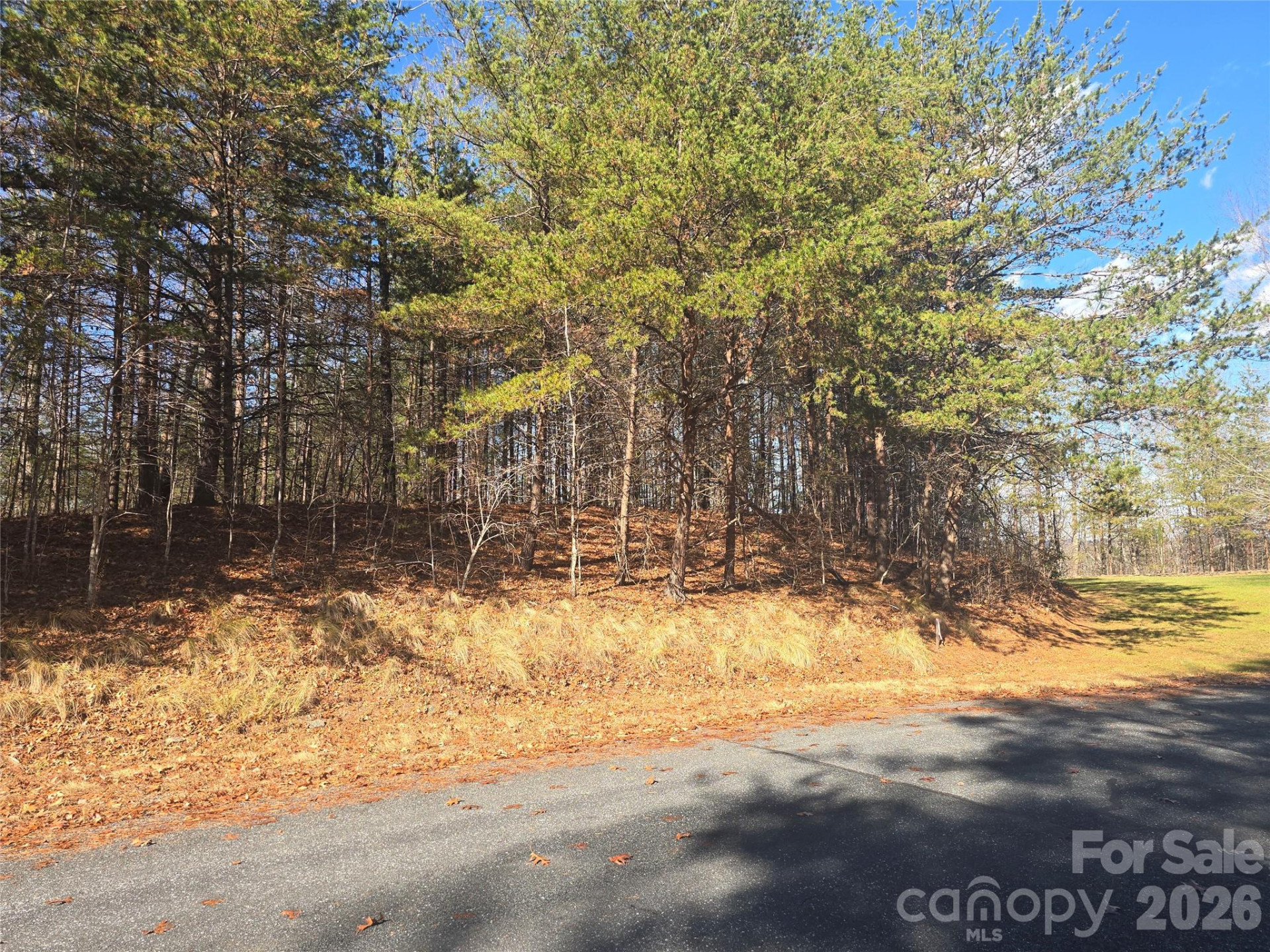 lot 60 Lake Adger Parkway #60 - Photo 2