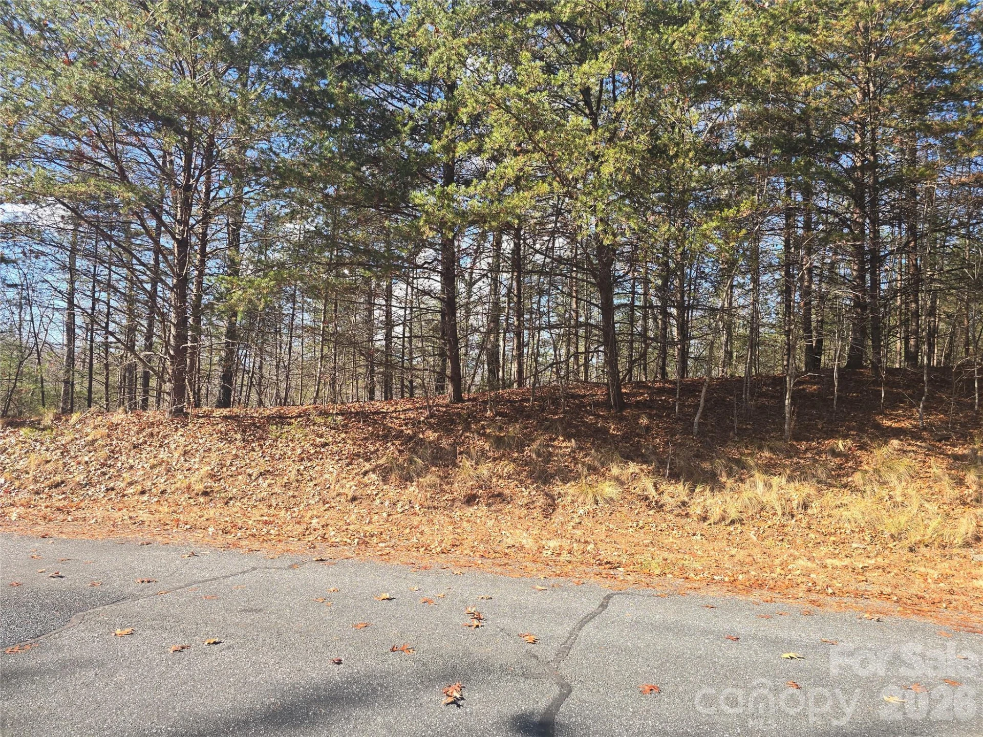 lot 60 Lake Adger Parkway #60 - Photo 3