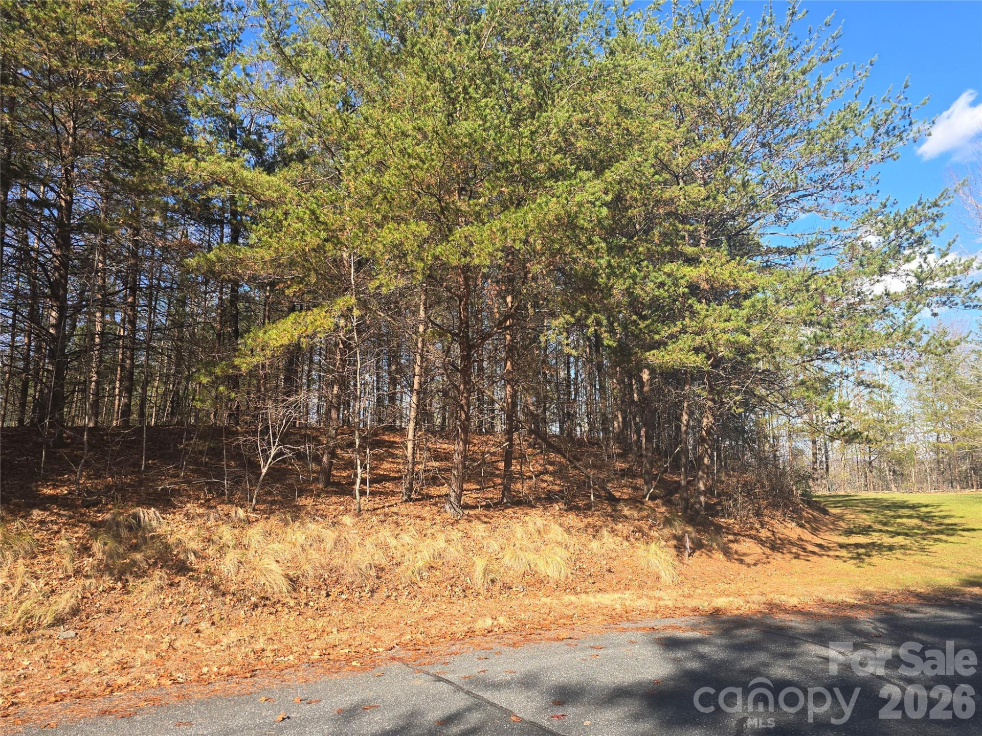 lot 60 Lake Adger Parkway #60 - Photo 4