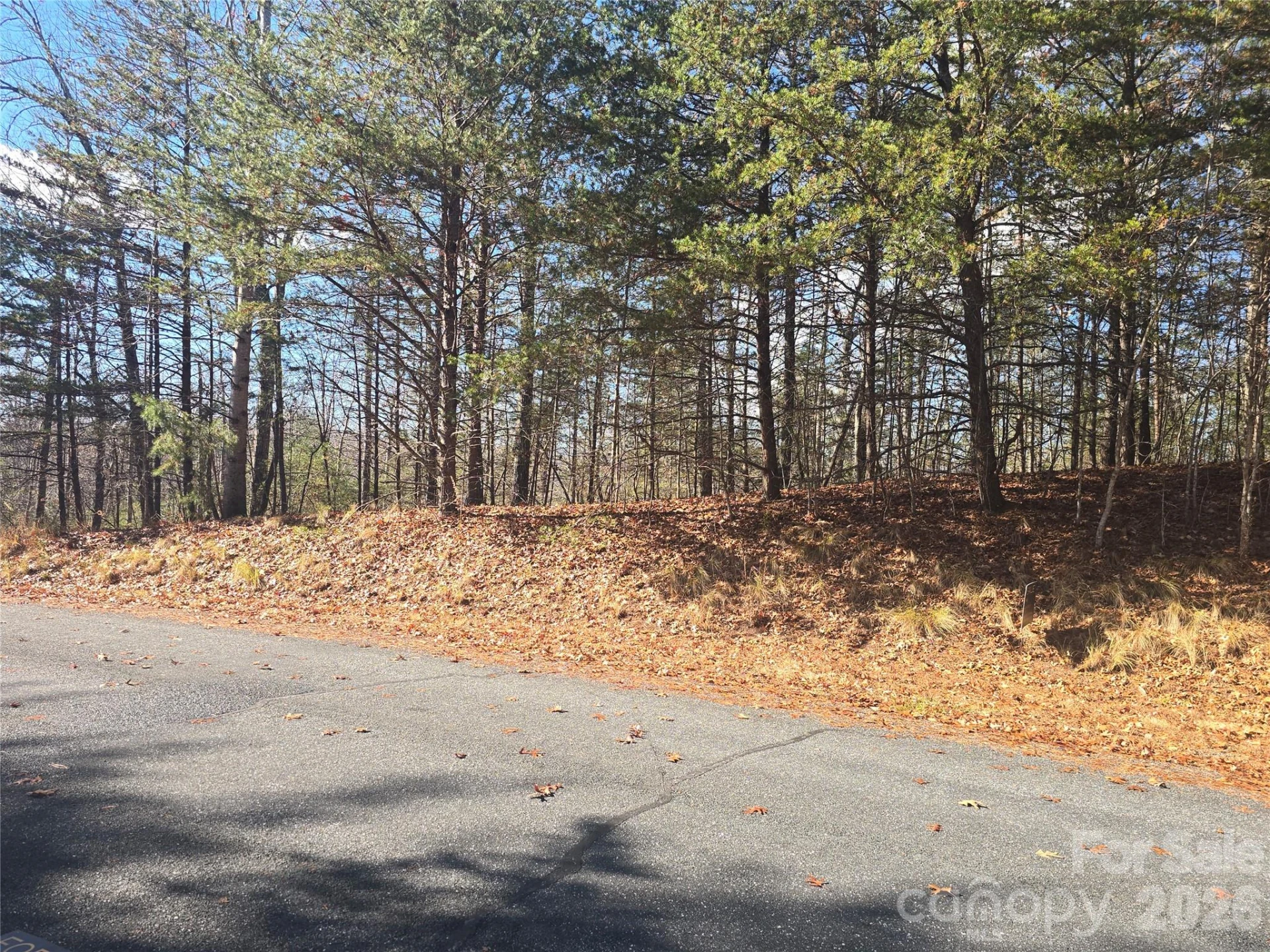 lot 60 Lake Adger Parkway #60 - Photo 5