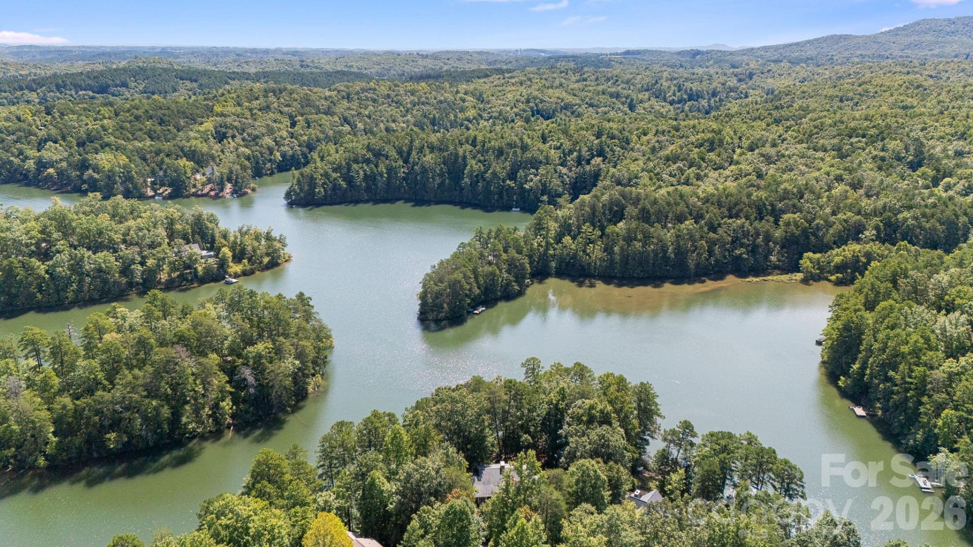lot 60 Lake Adger Parkway #60 - Photo 6