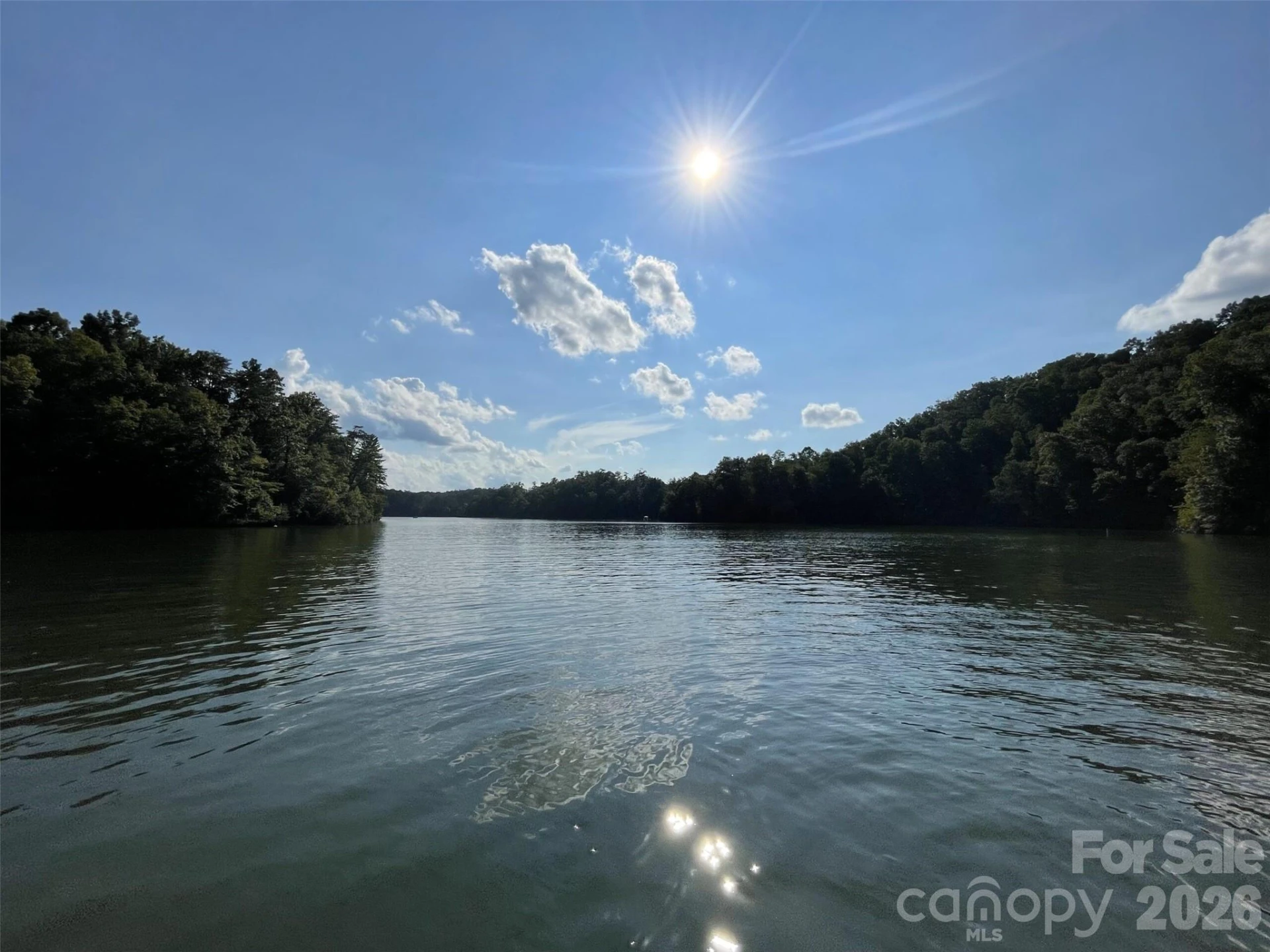 lot 60 Lake Adger Parkway #60 - Photo 7
