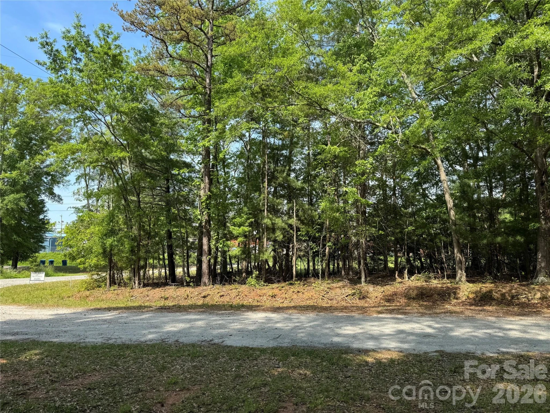 276 Mulberry Street - Photo 4