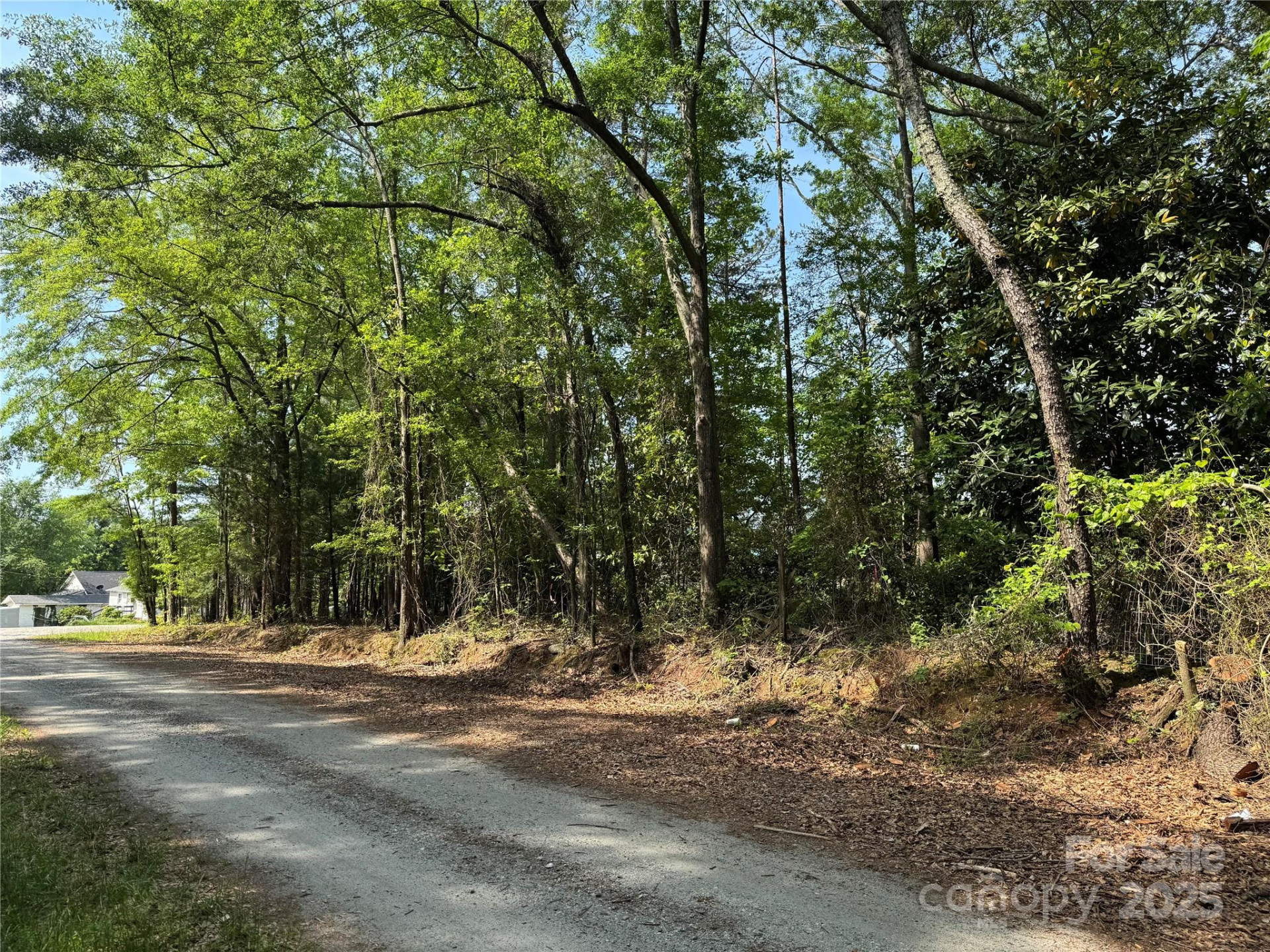 3 Mulberry Street - Photo 8