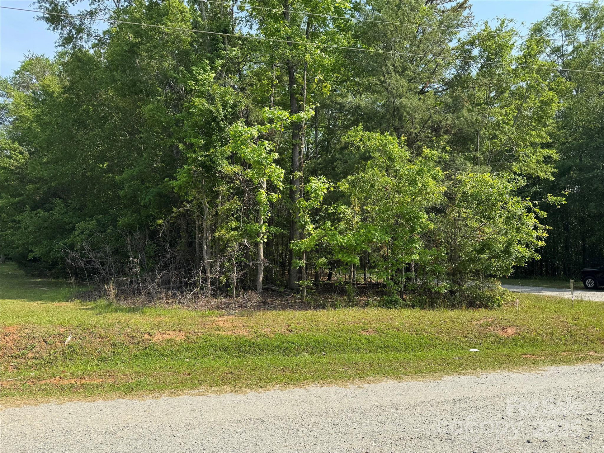 3 Mulberry Street - Photo 9