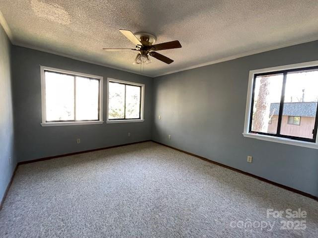 11 Lake Drive #B4 - Photo 8