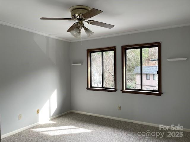 11 Lake Drive #B4 - Photo 9