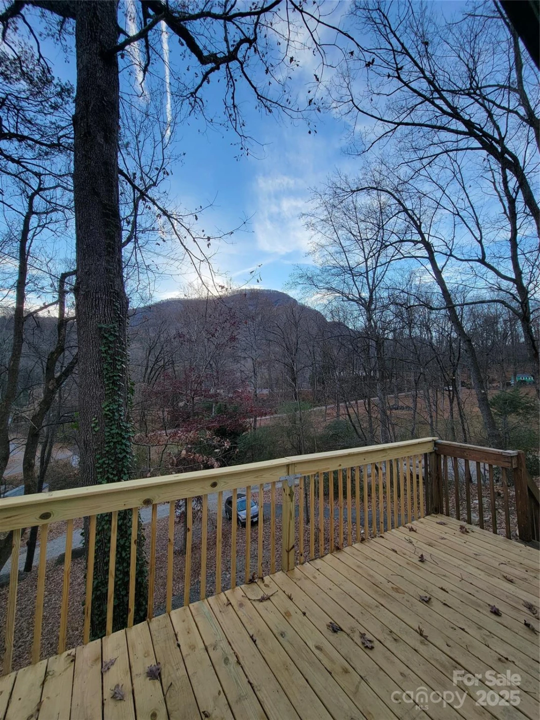 138 Buddy Lane - Photo 2