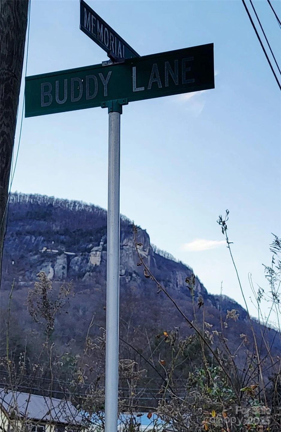 138 Buddy Lane - Photo 15