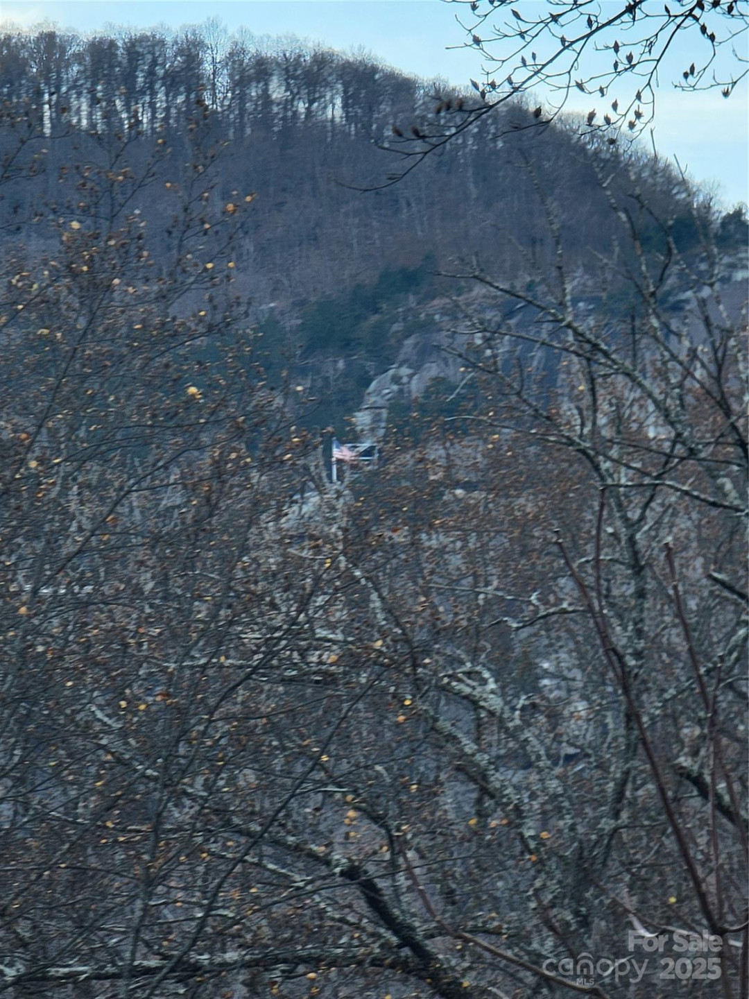 138 Buddy Lane - Photo 33