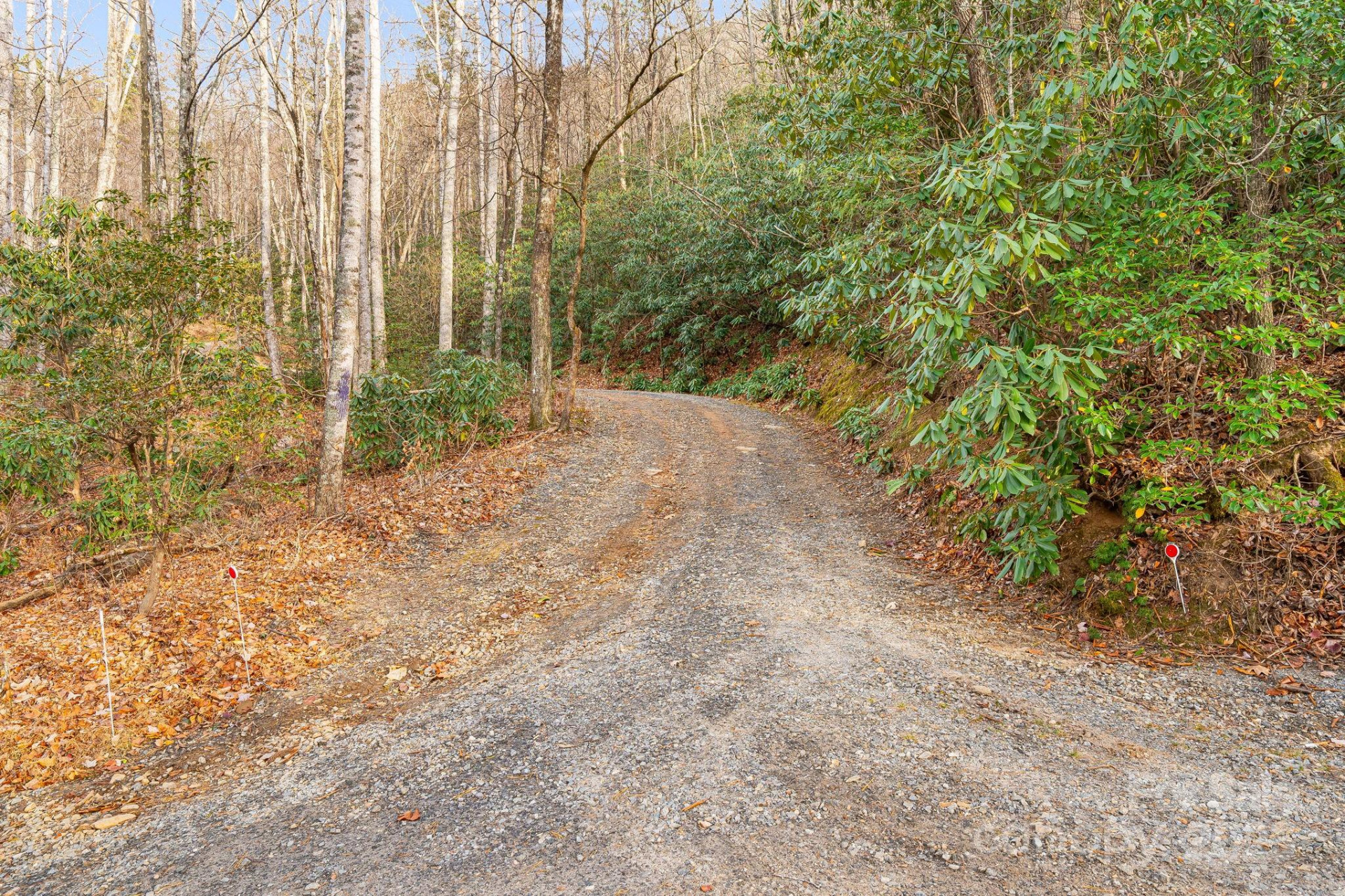 TBD Walker Mountain Lane - Photo 7