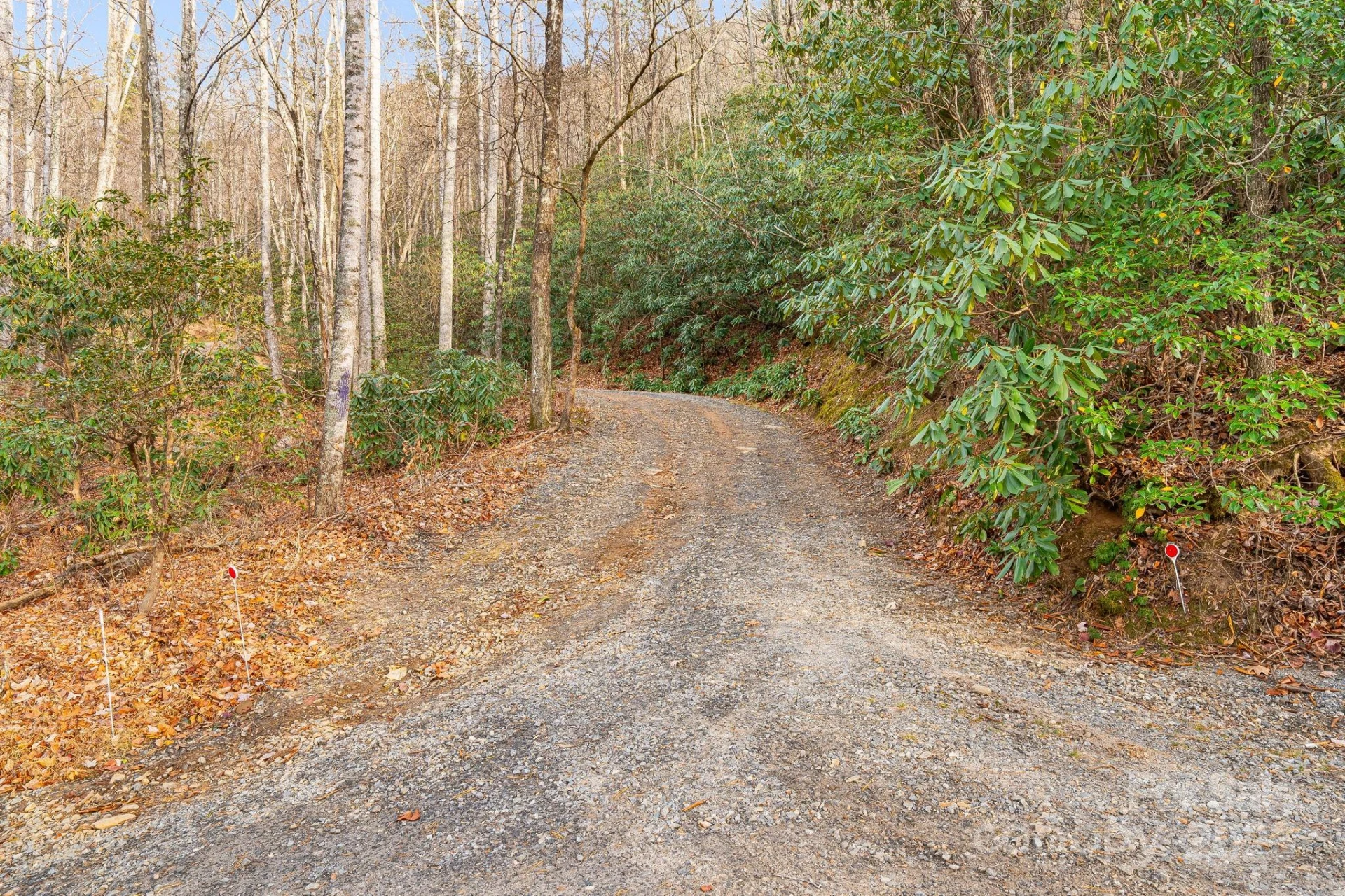 TBD Walker Mountain Lane - Photo 7