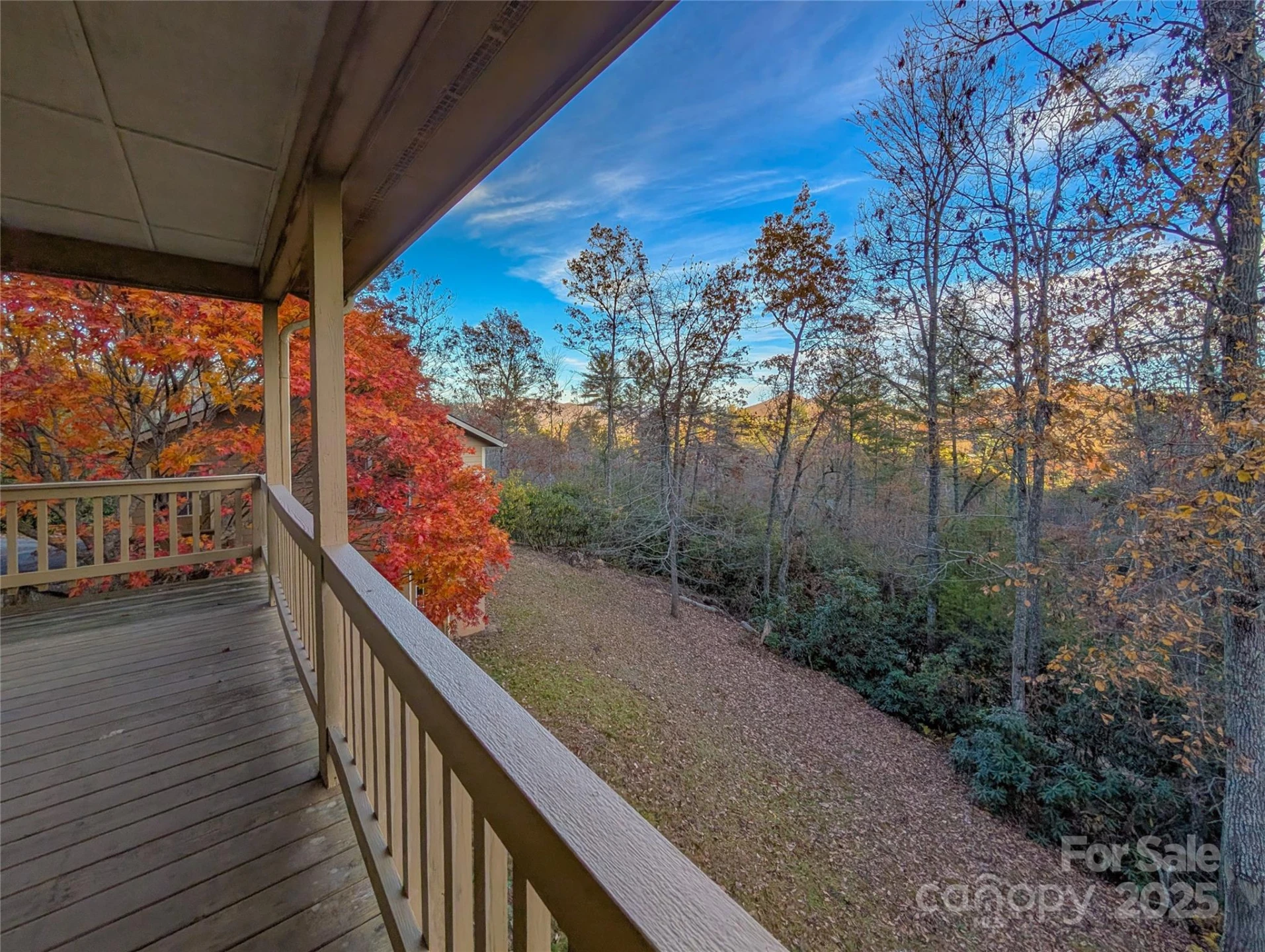 355 Rosewood Lane - Photo 3