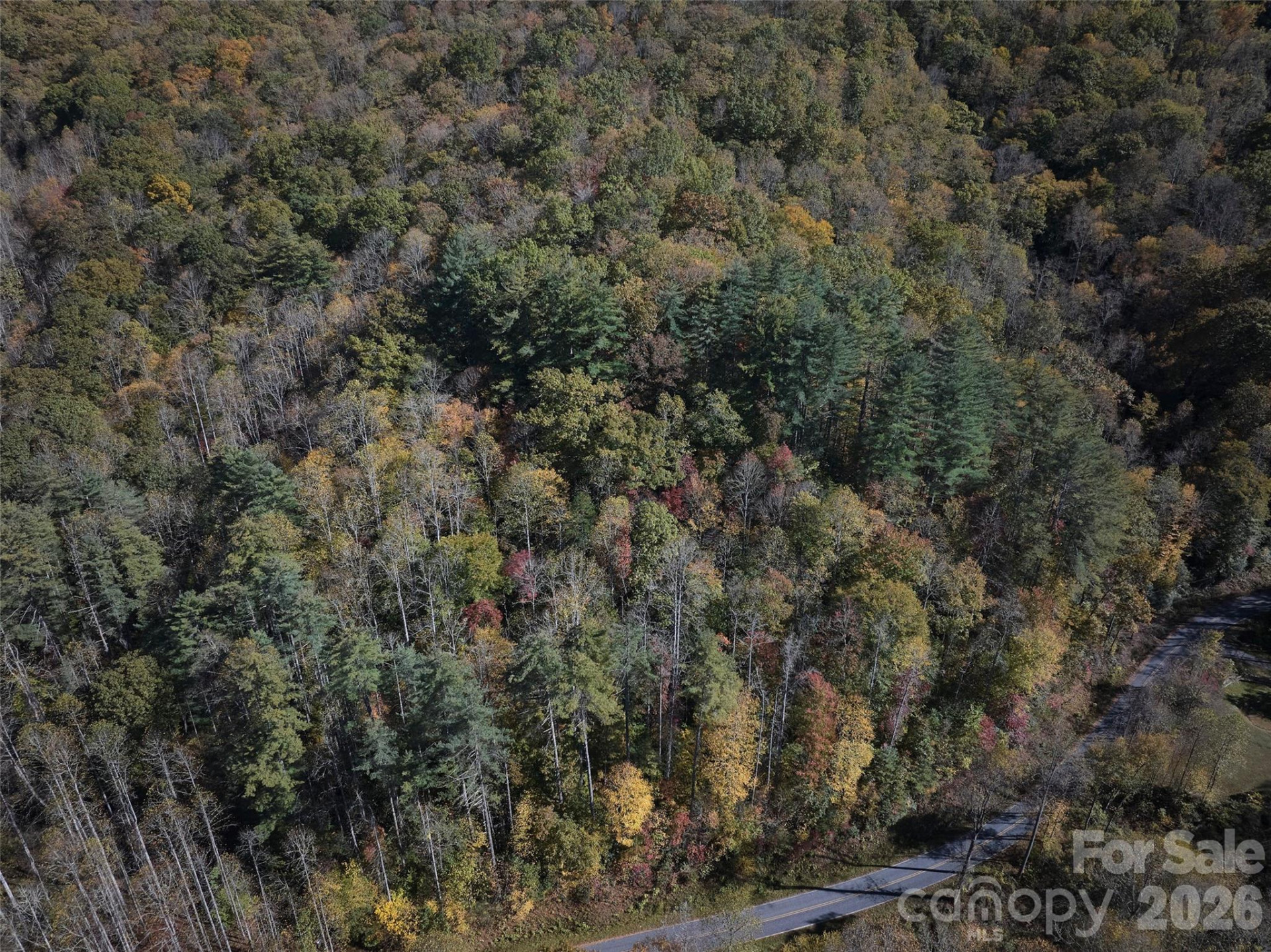 0 Treehouse Road - Photo 11