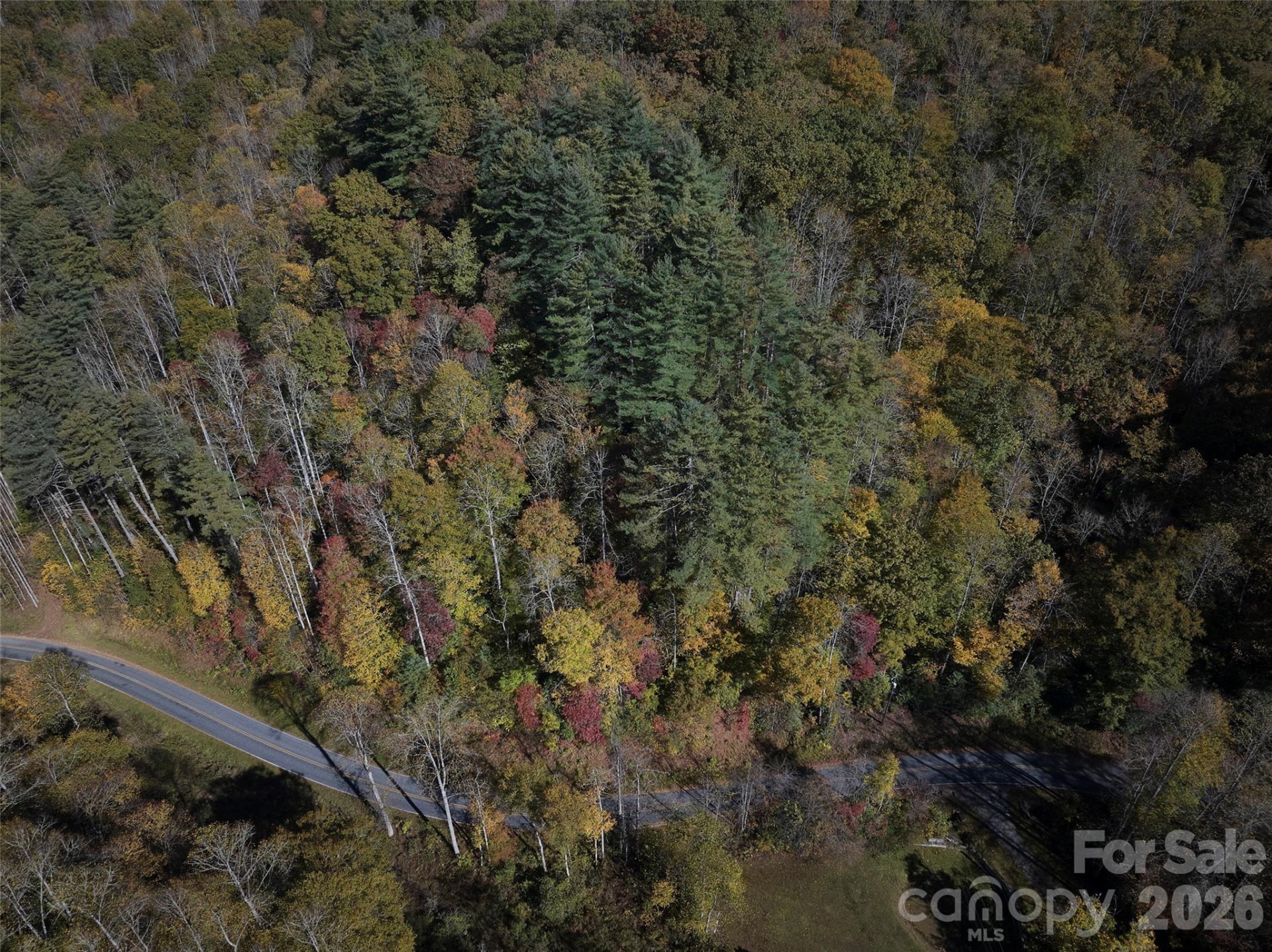 0 Treehouse Road - Photo 3