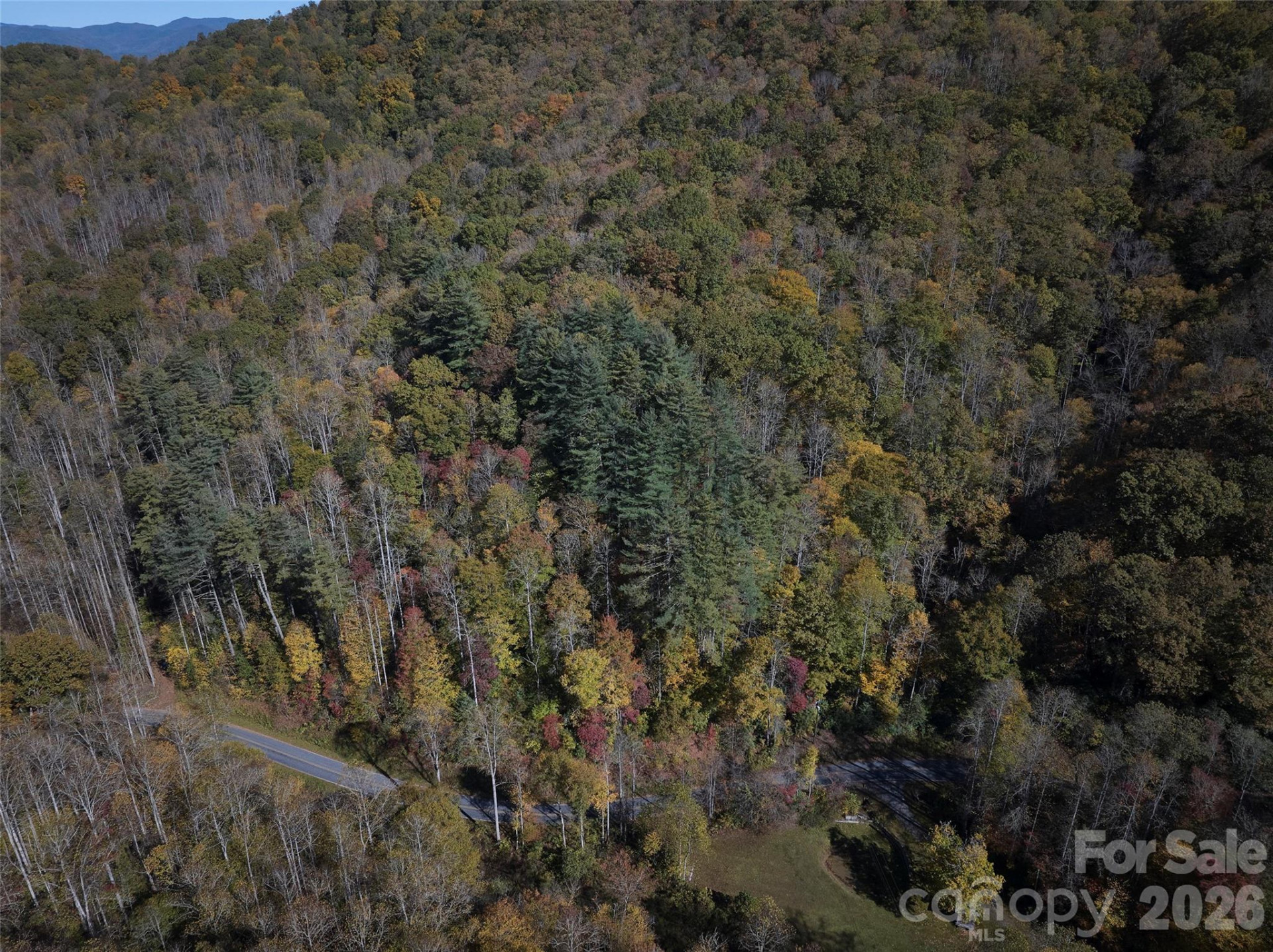 0 Treehouse Road - Photo 4