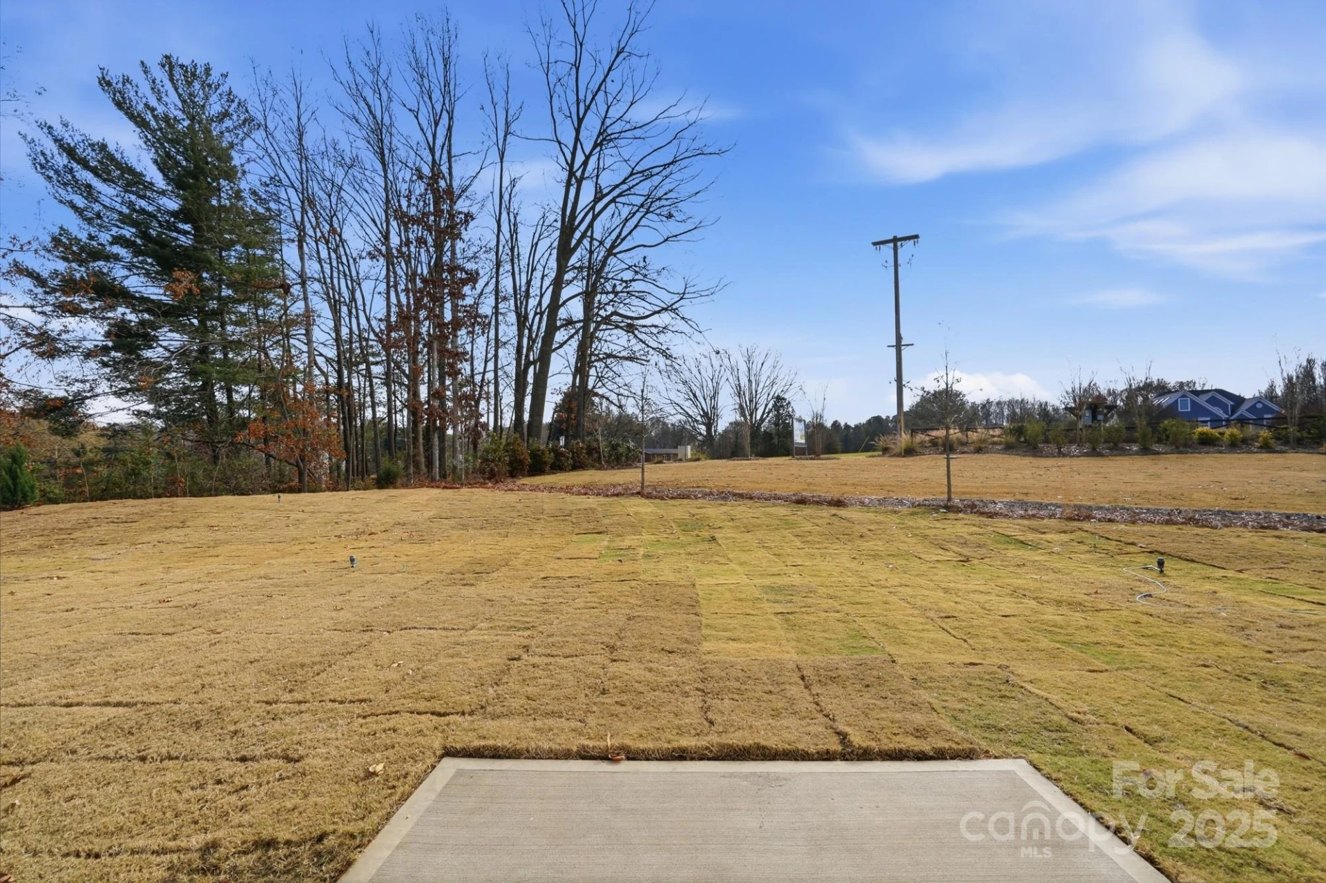 119 Dunlavin Way - Photo 45