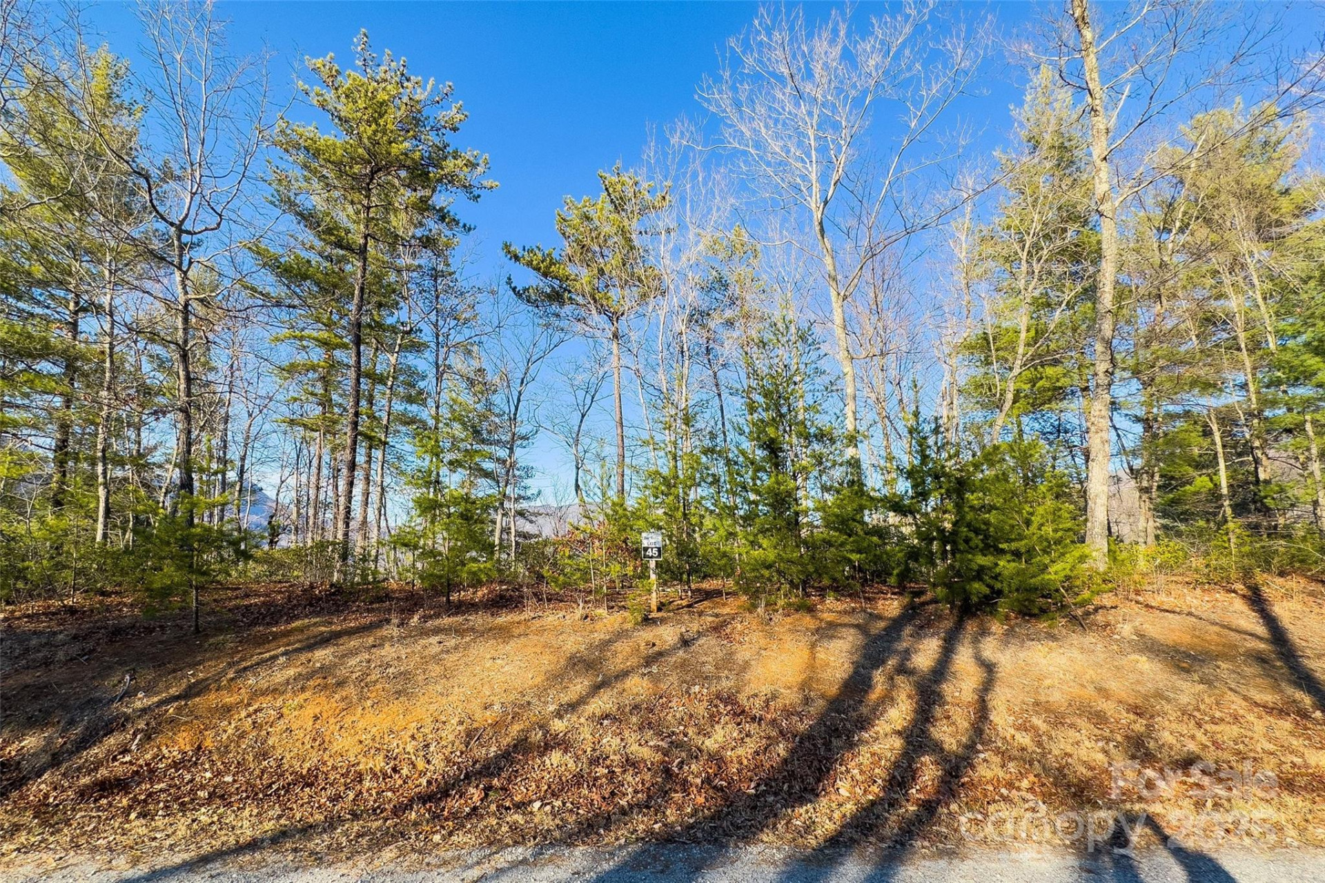 Lot #45 Fox Ridge Trail - Photo 2