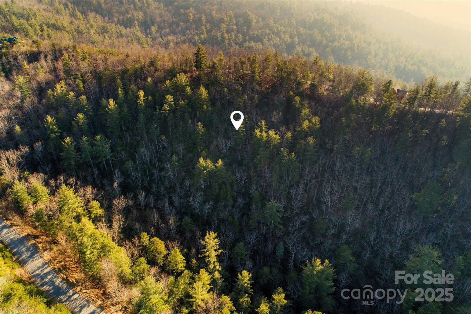 Lot #45 Fox Ridge Trail - Photo 12