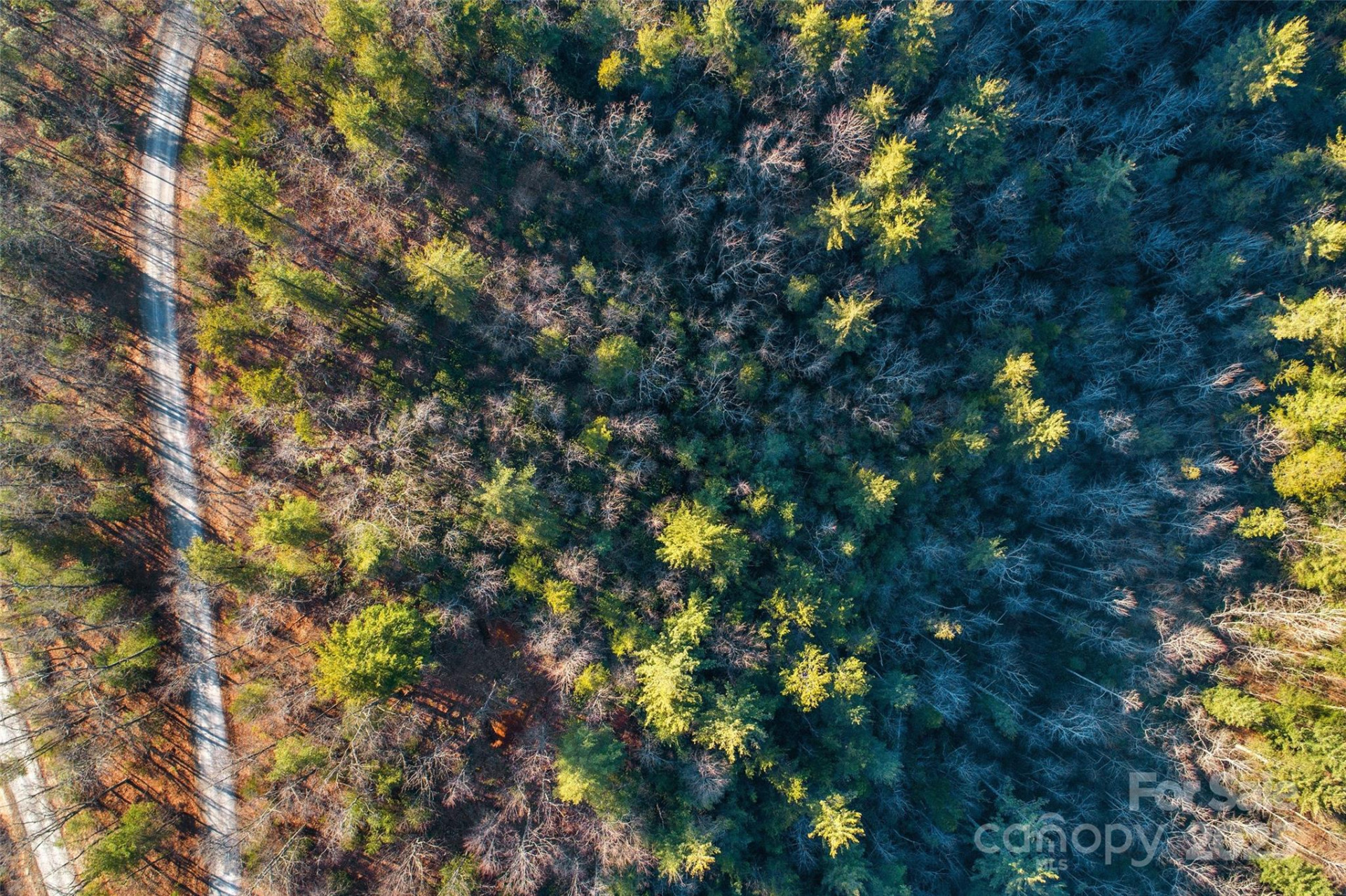 Lot #45 Fox Ridge Trail - Photo 14