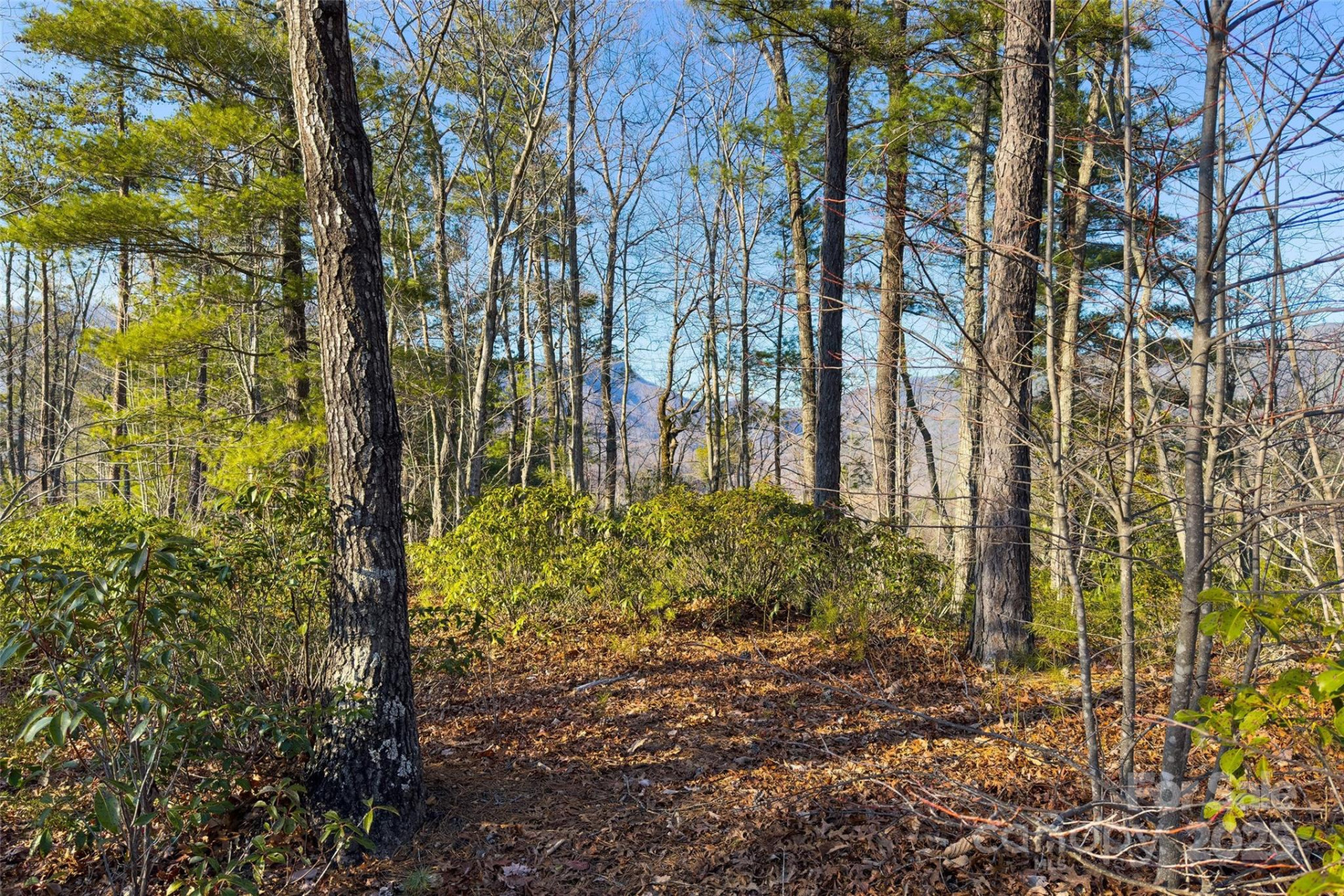 Lot #45 Fox Ridge Trail - Photo 15