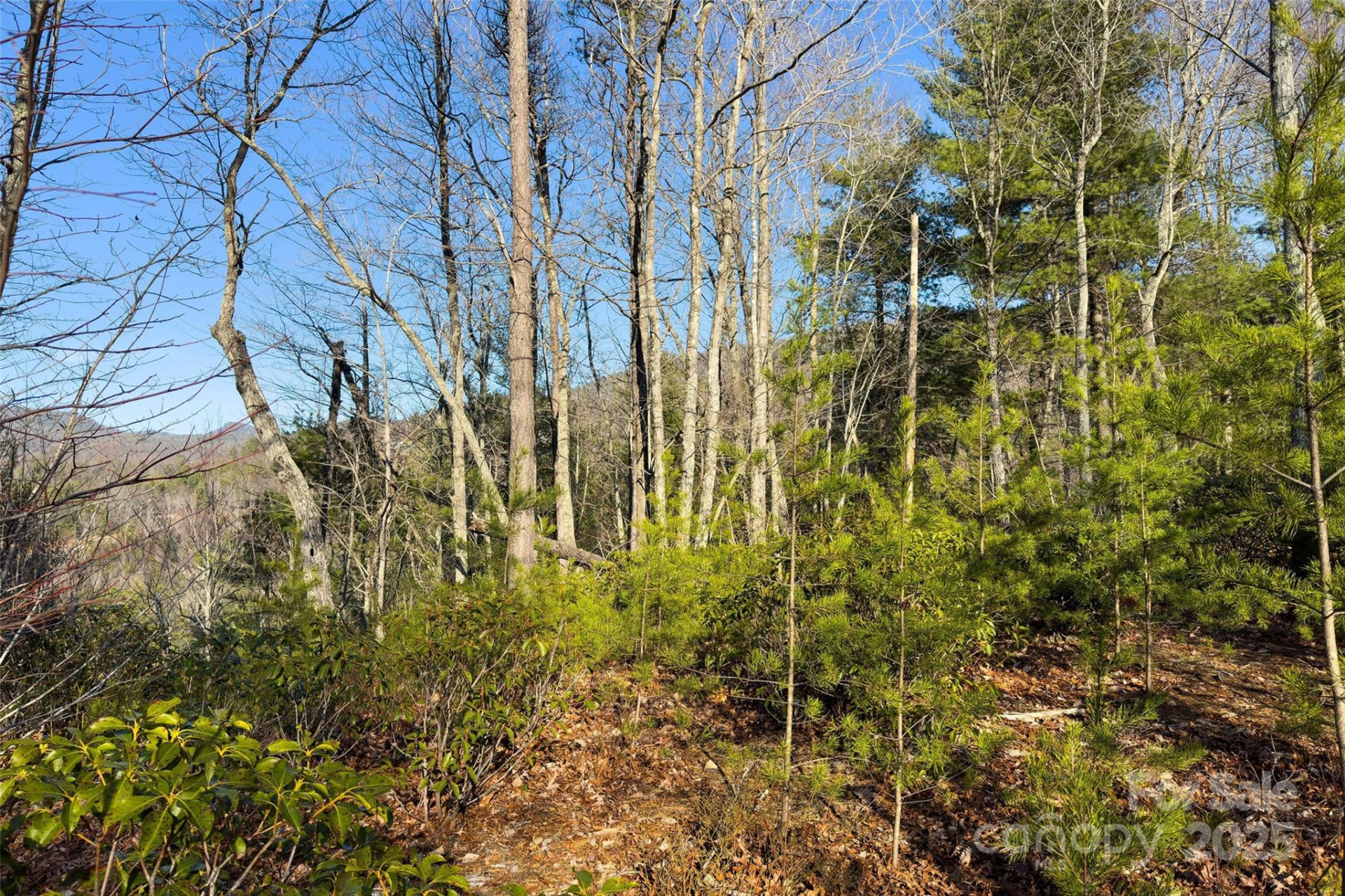 Lot #45 Fox Ridge Trail - Photo 16