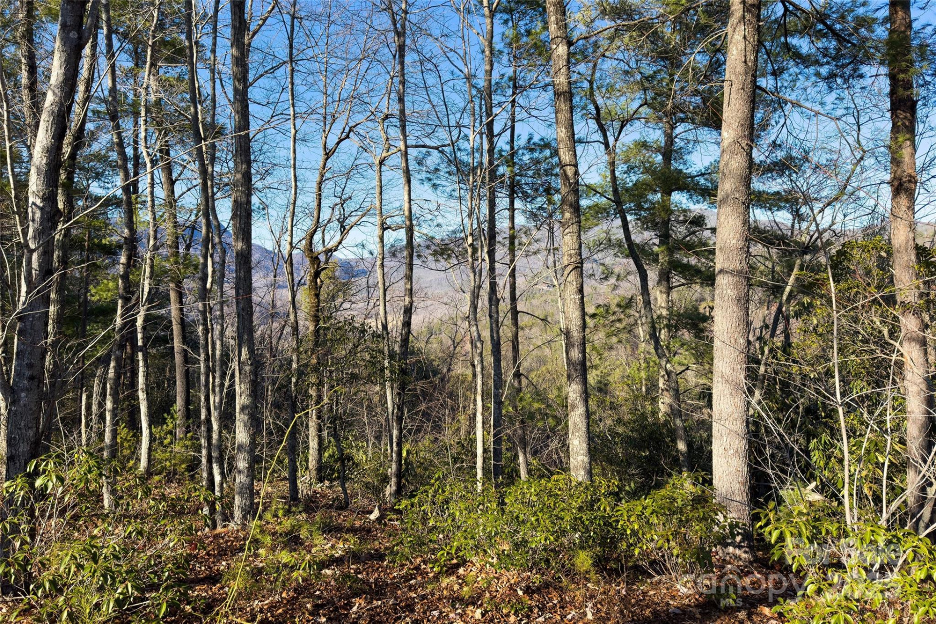 Lot #45 Fox Ridge Trail - Photo 17