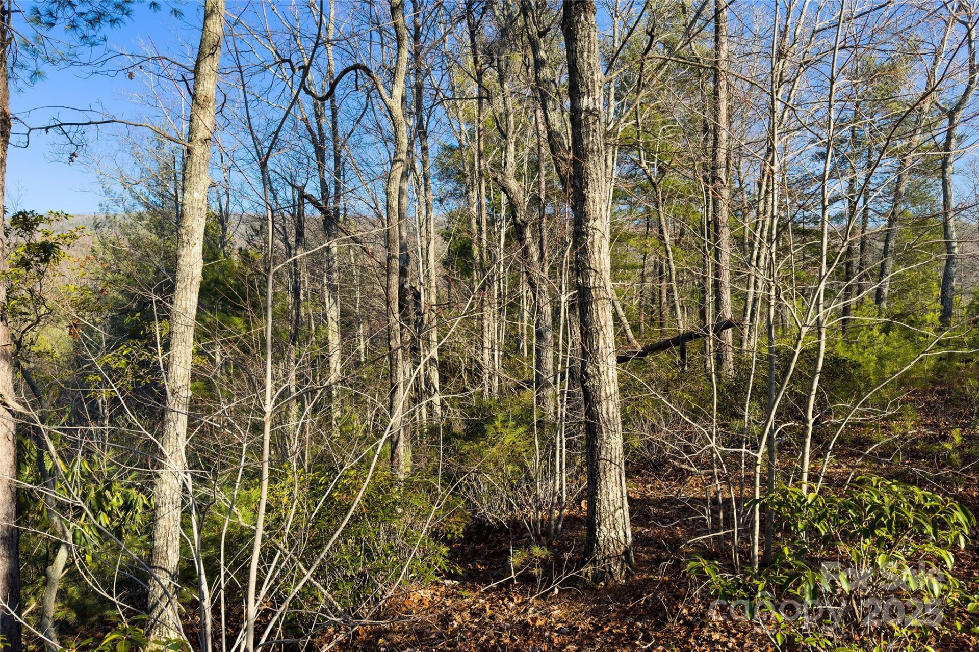 Lot #45 Fox Ridge Trail - Photo 19
