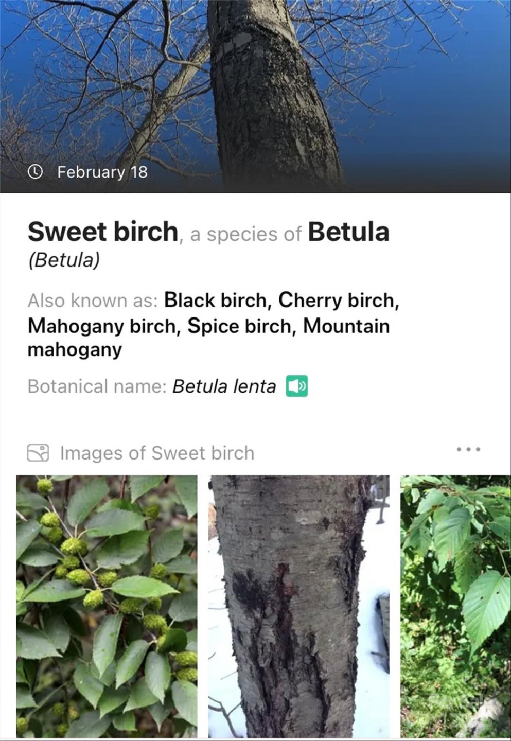 Lot #45 Fox Ridge Trail - Photo 26