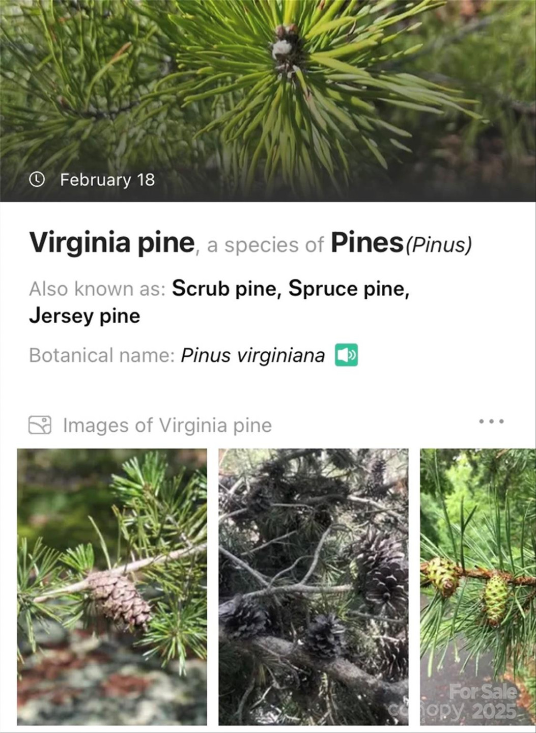 Lot #45 Fox Ridge Trail - Photo 27