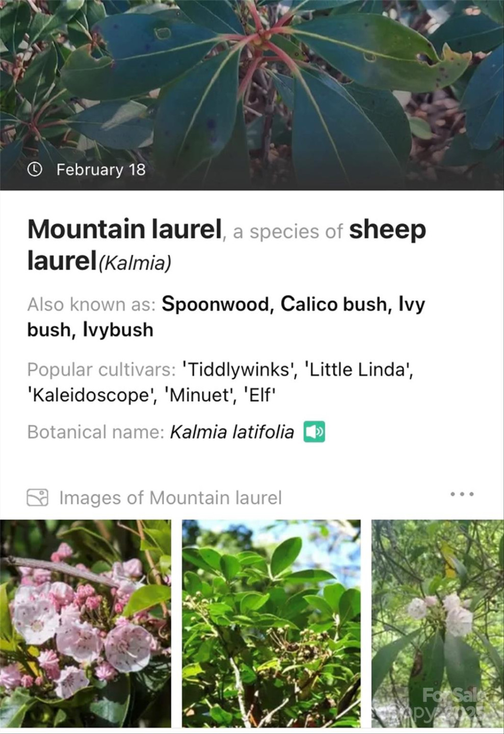 Lot #45 Fox Ridge Trail - Photo 29