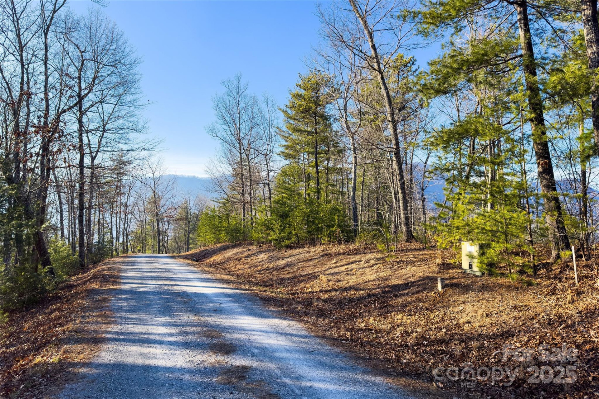 Lot #45 Fox Ridge Trail - Photo 4