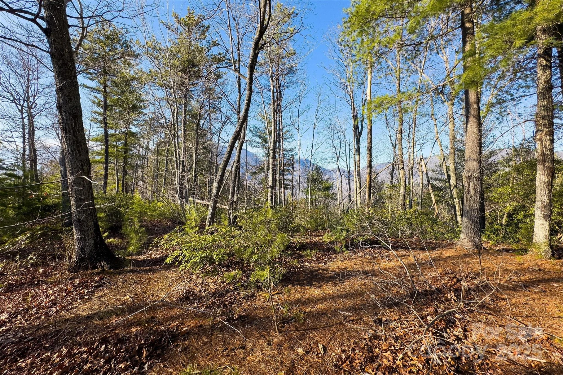 Lot #45 Fox Ridge Trail - Photo 5