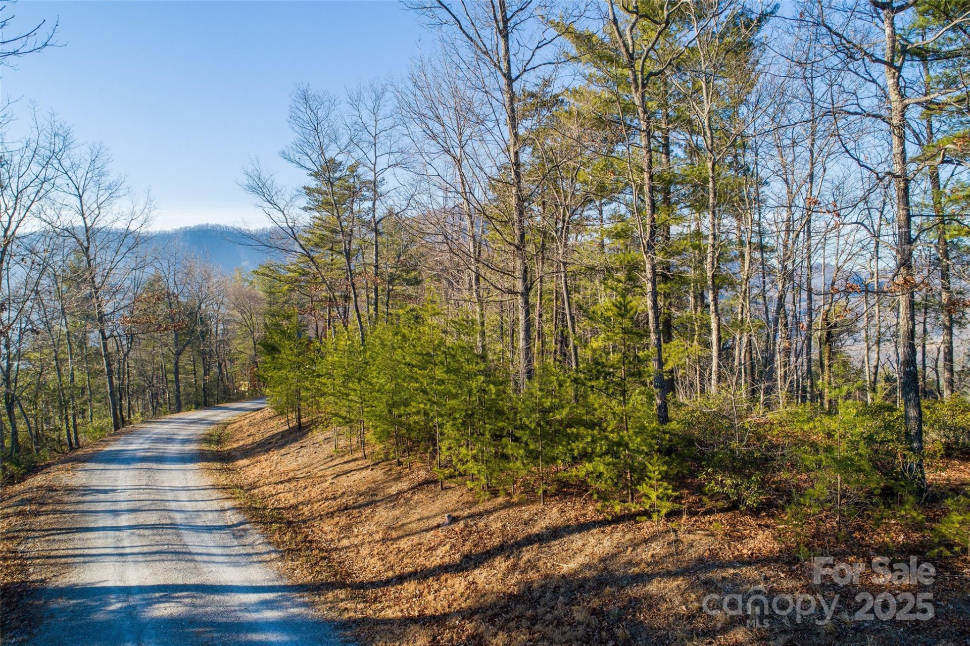 Lot #45 Fox Ridge Trail - Photo 6