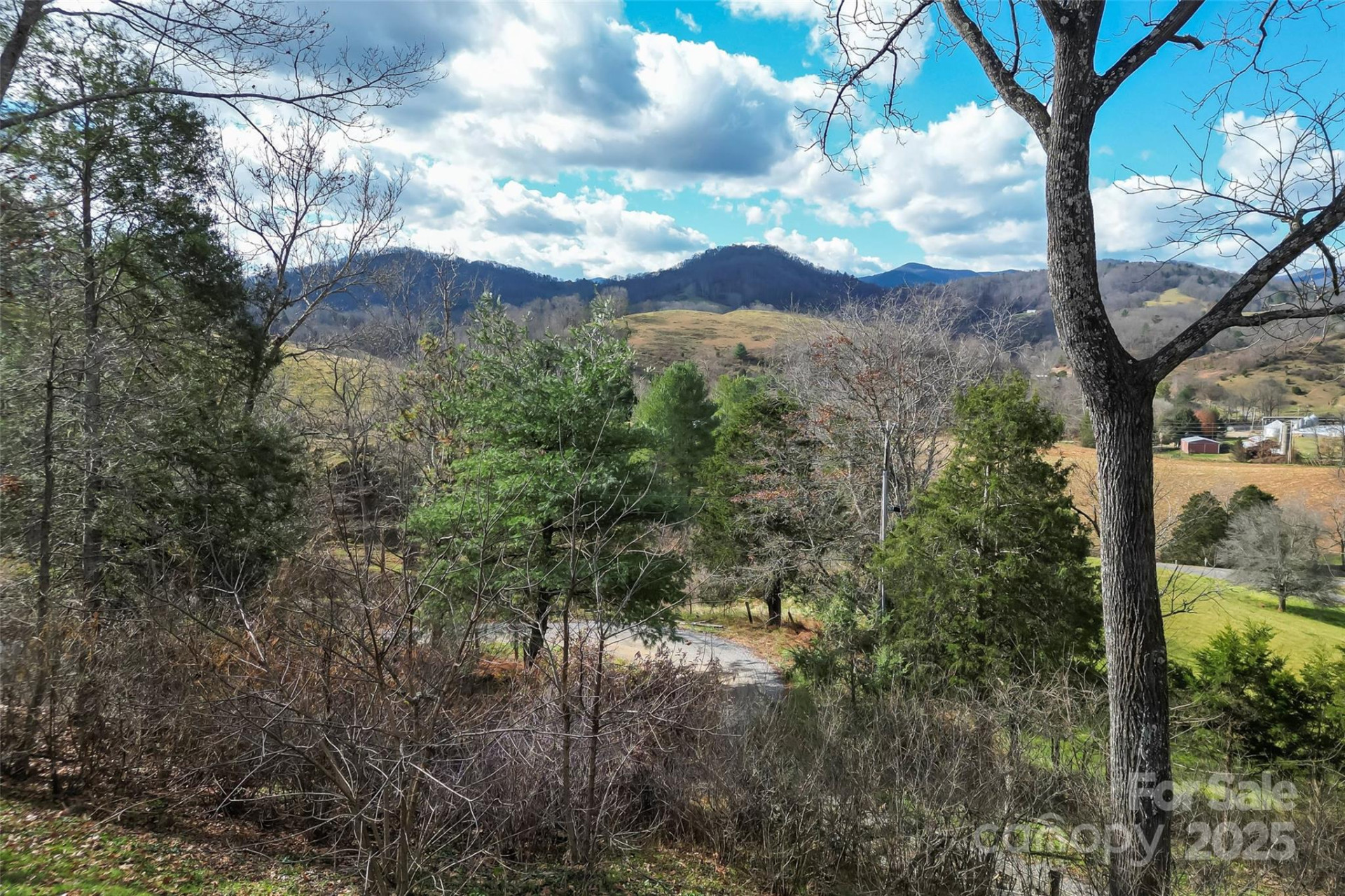 1240 Ferguson Cove Loop - Photo 34