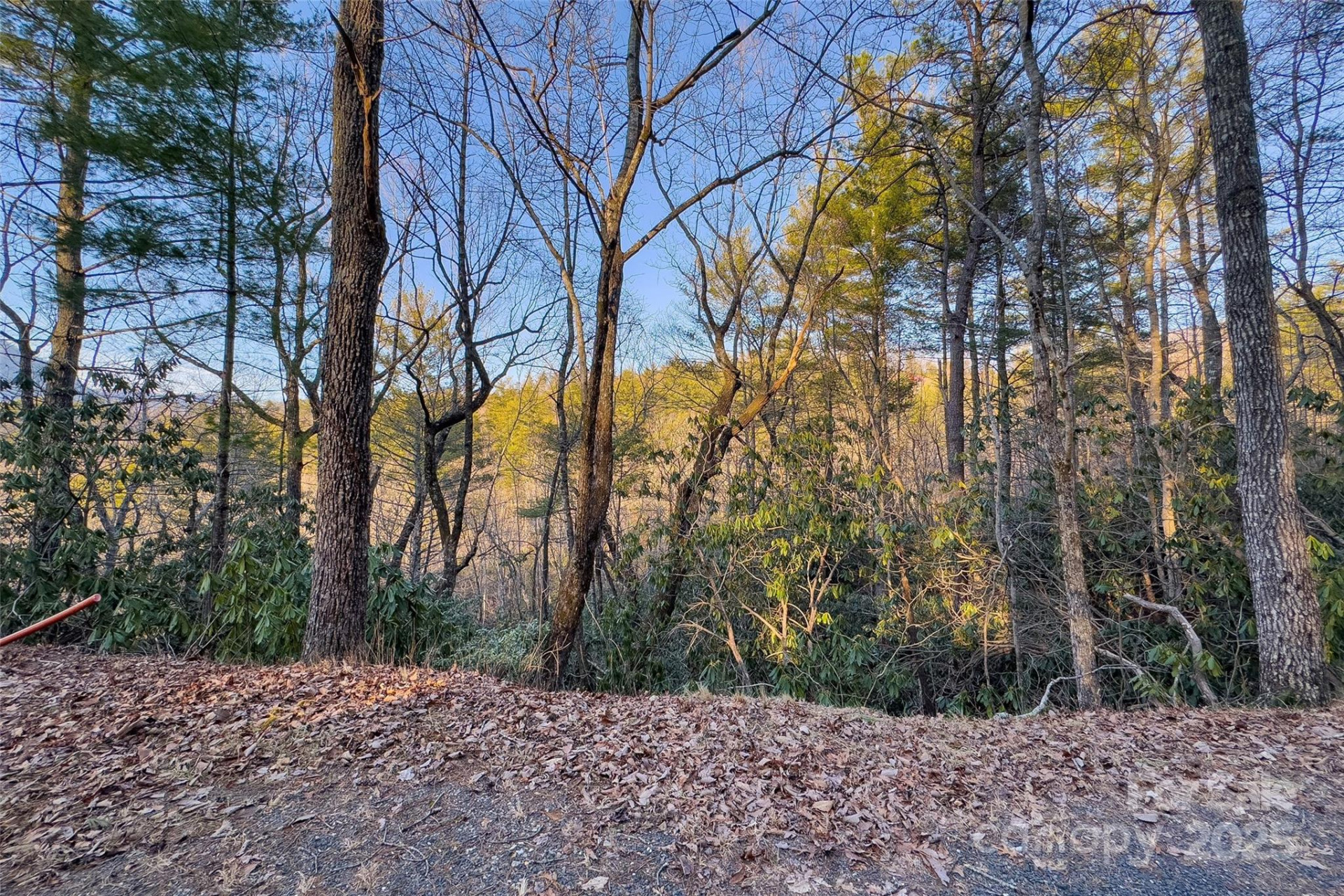 LOT #84 Little Fox Run - Photo 11