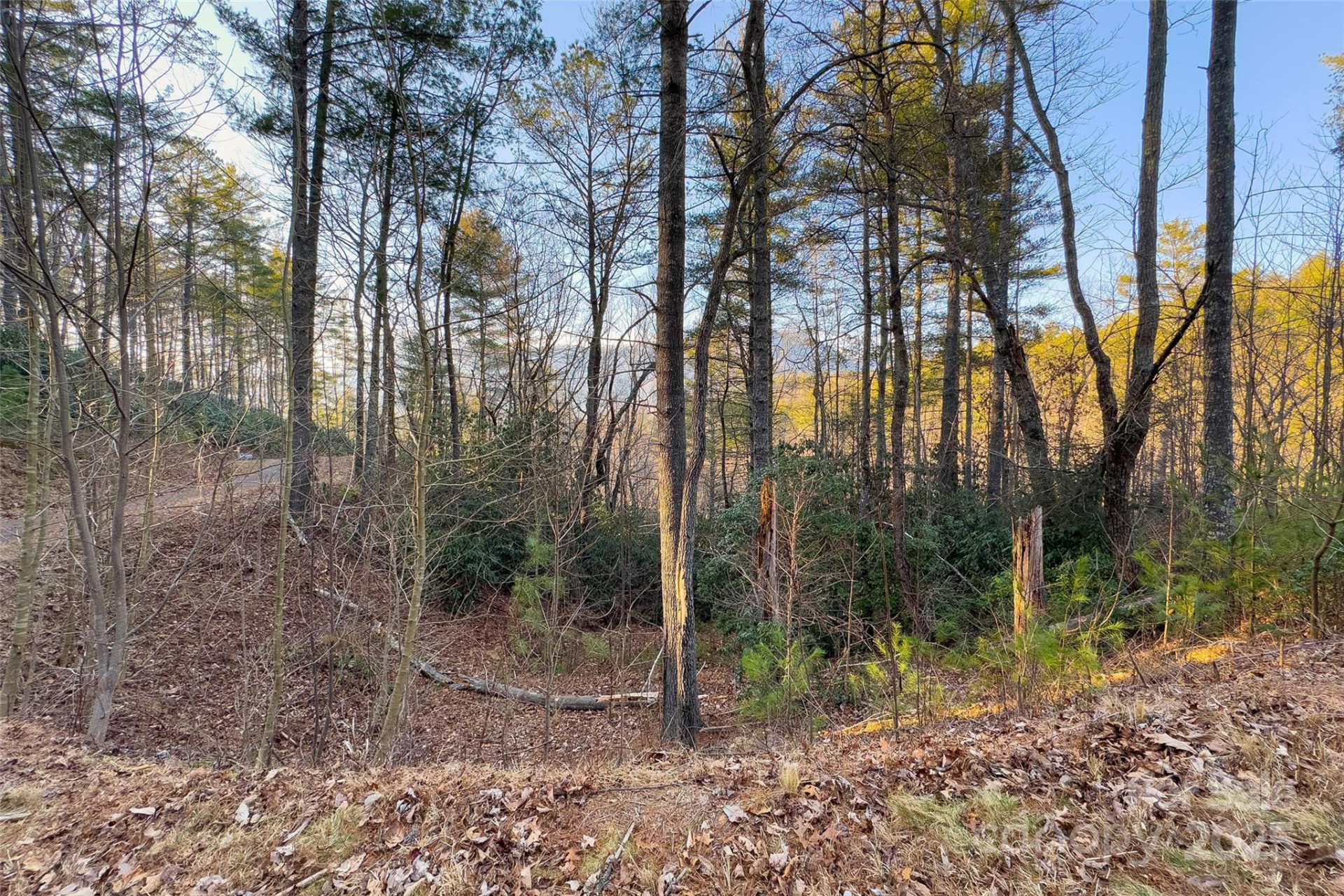 LOT #84 Little Fox Run - Photo 13