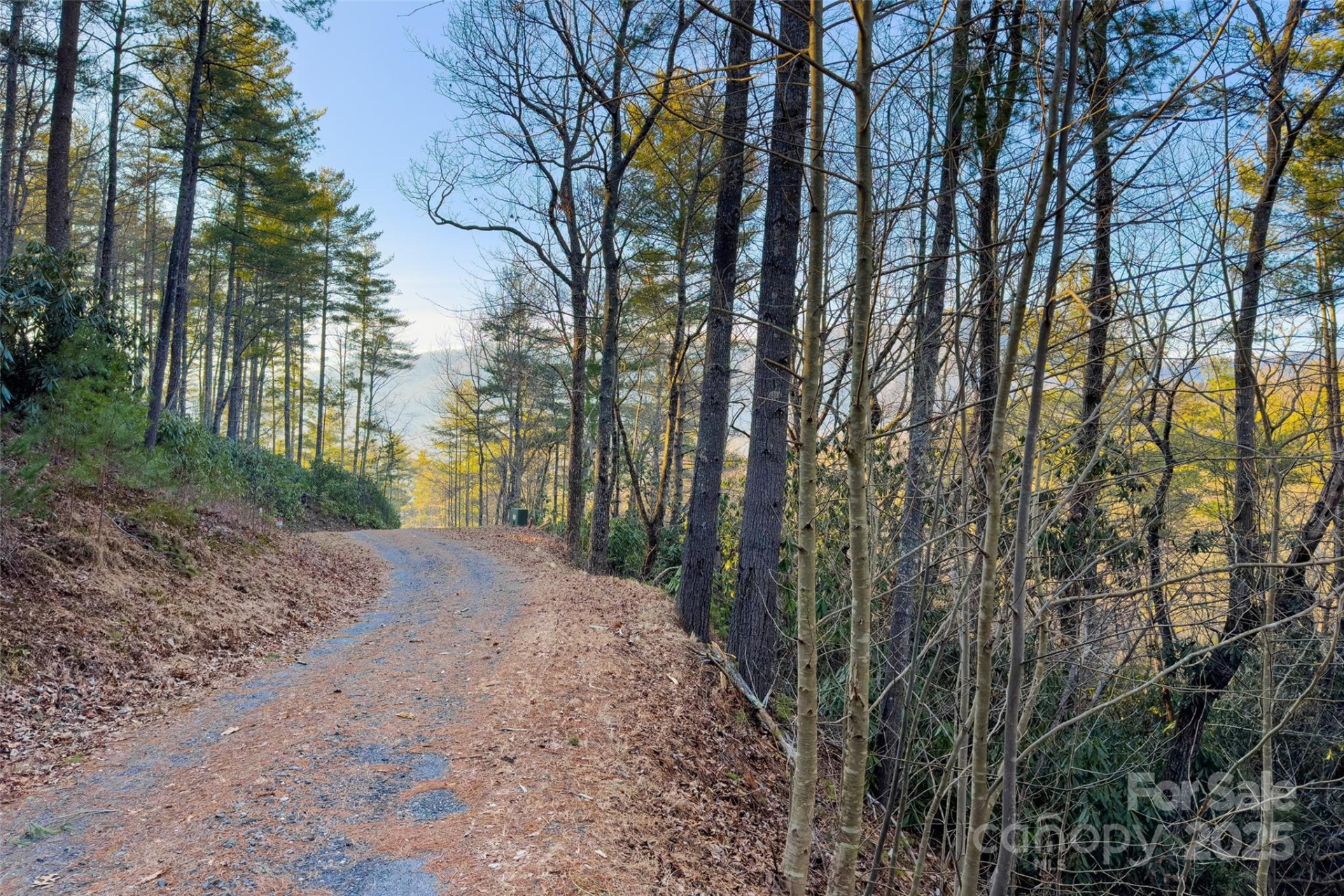 LOT #84 Little Fox Run - Photo 14