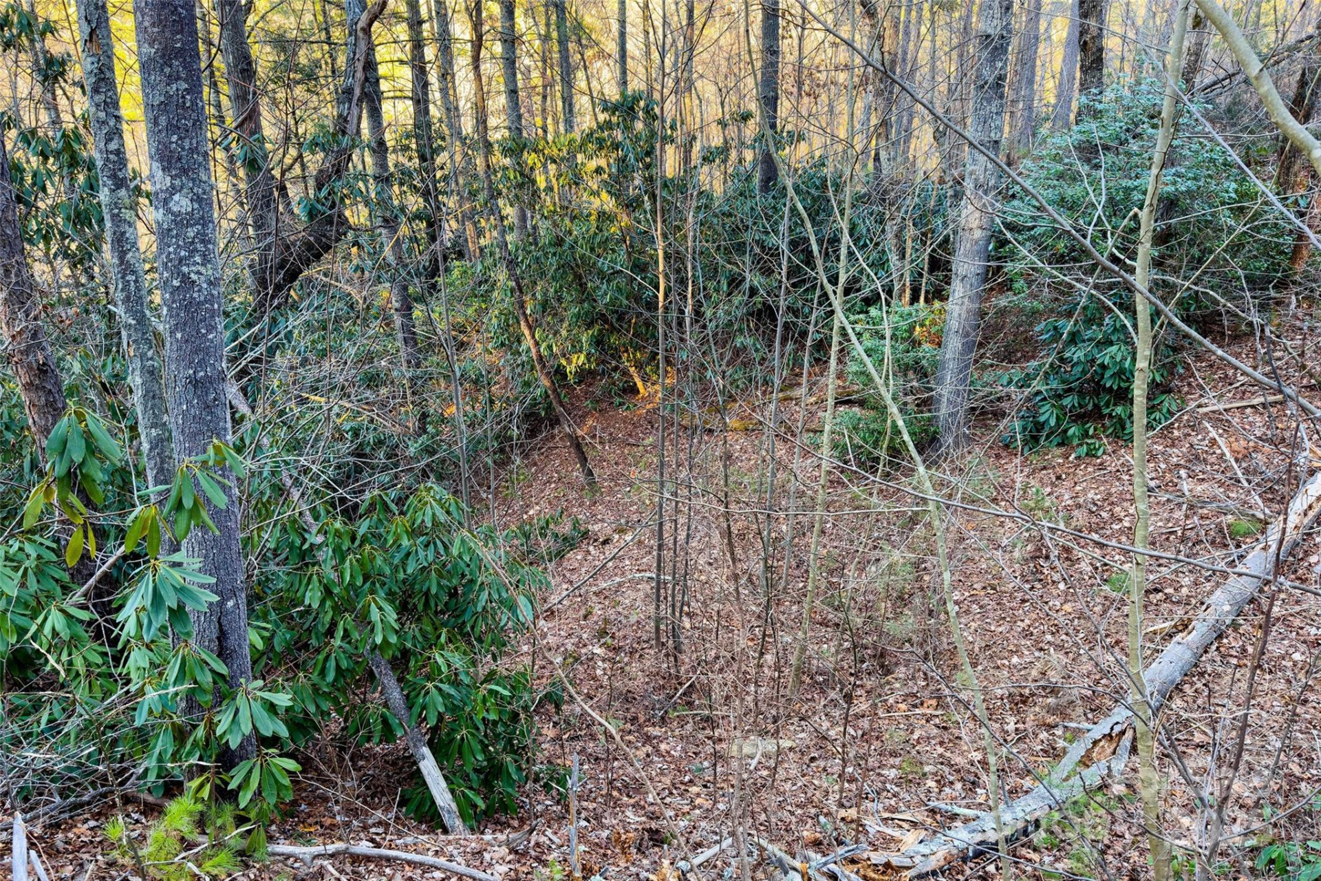 LOT #84 Little Fox Run - Photo 15